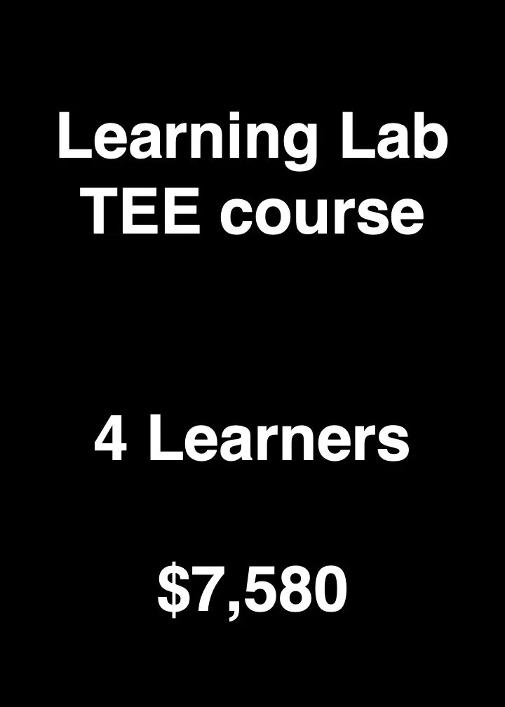 Learning-Lab-TEE-Private-Four-Learners.jpeg