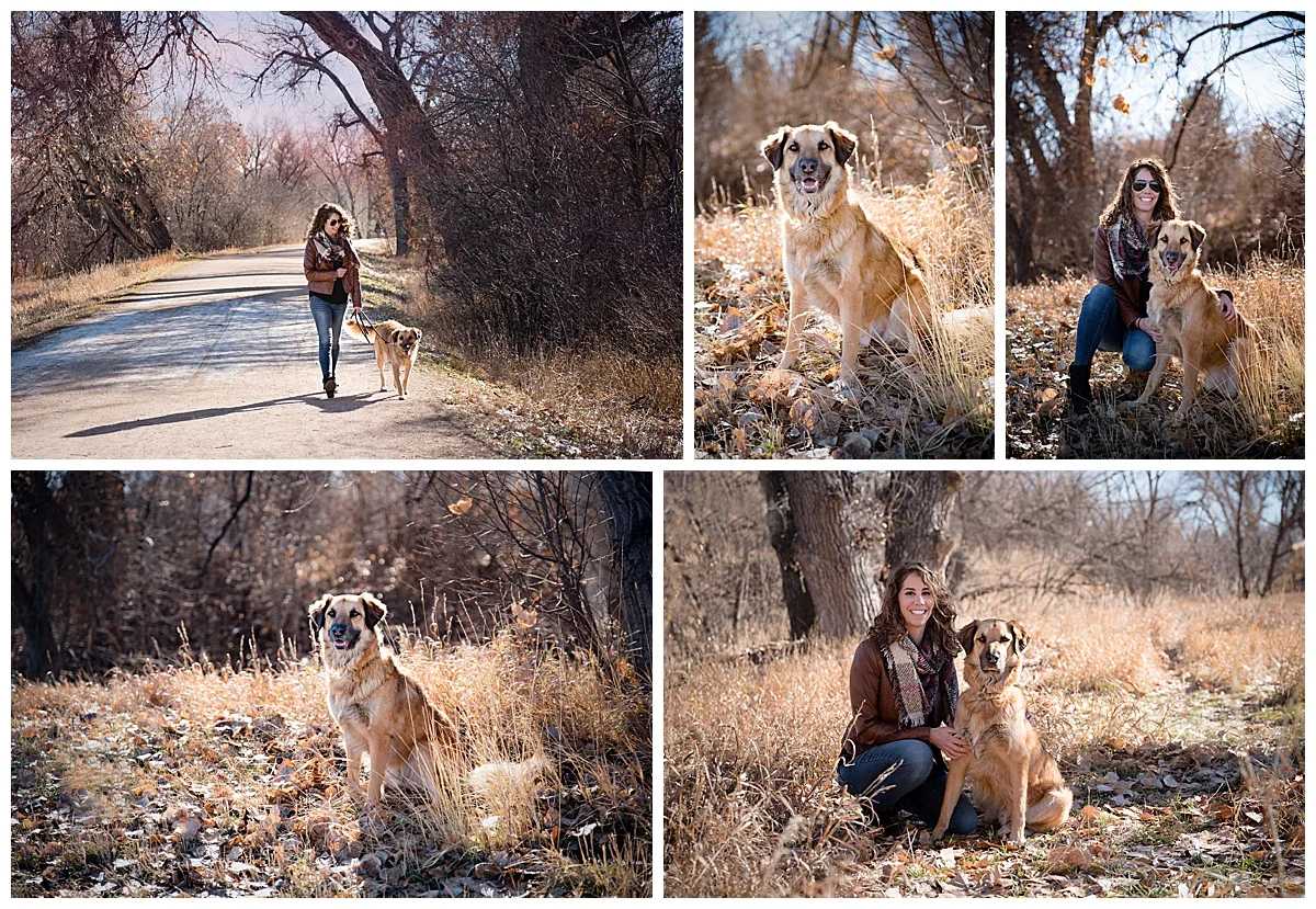 dog-photography-centennial-colorado-strider-2.jpg