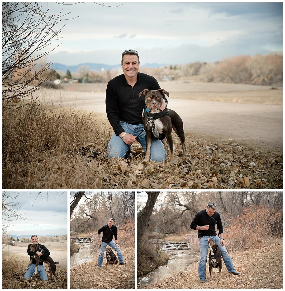 dog-photography-centennial-denver-colorado-mountains-noodles-1.jpg
