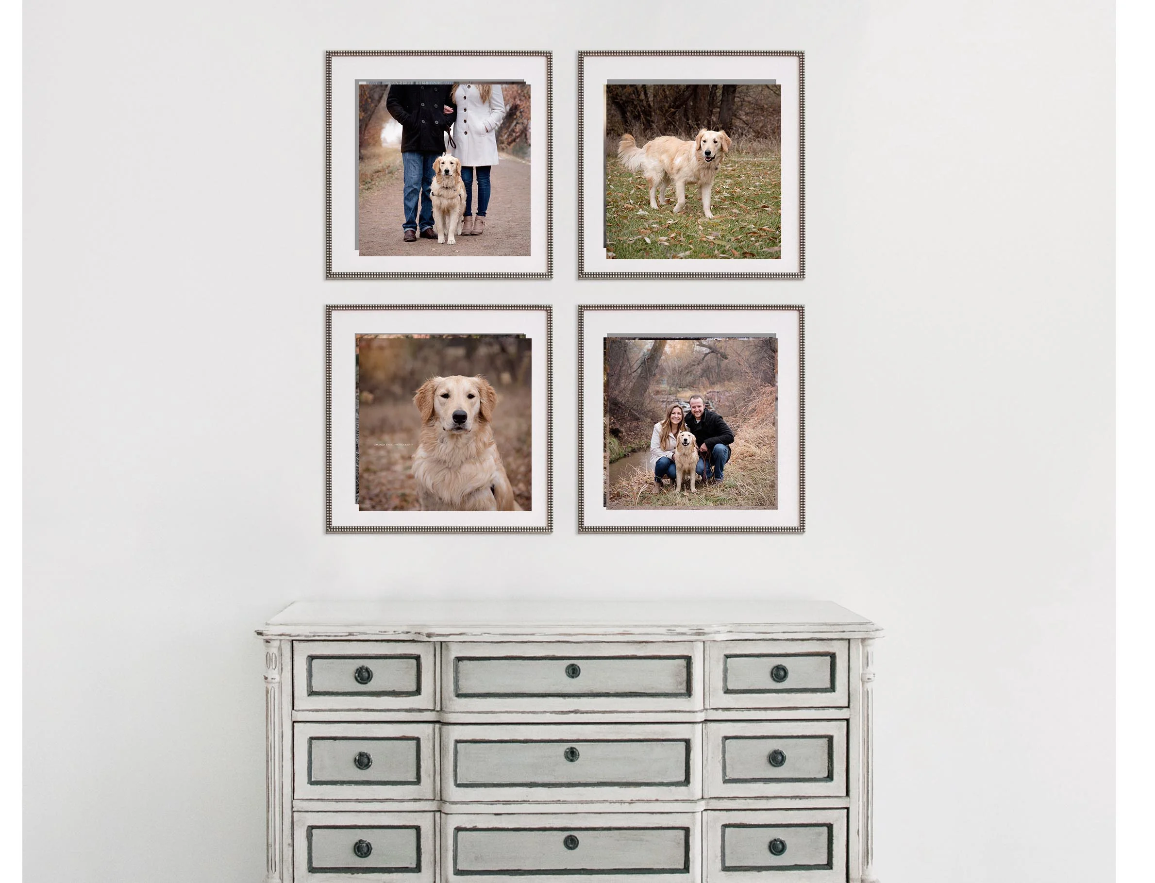 Dog and picture frames v2.jpg
