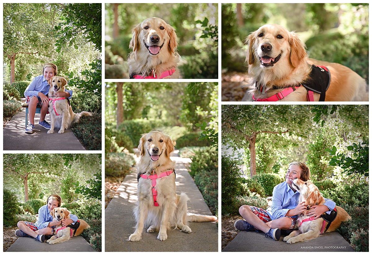 Englewood Denver Dog Photography.jpg