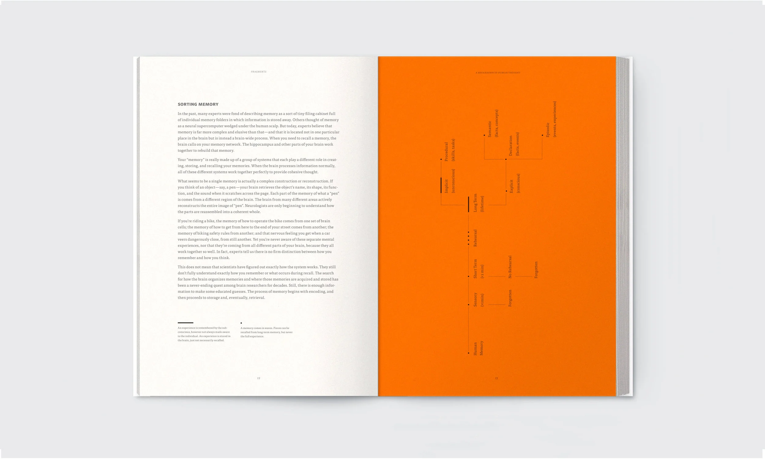 BookMockup_pg5.jpg