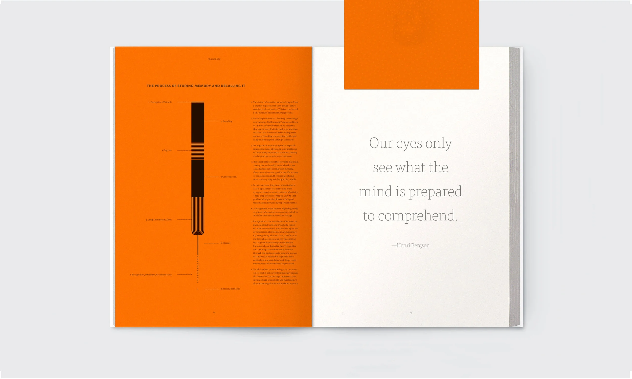 BookMockup_pg6(open).jpg