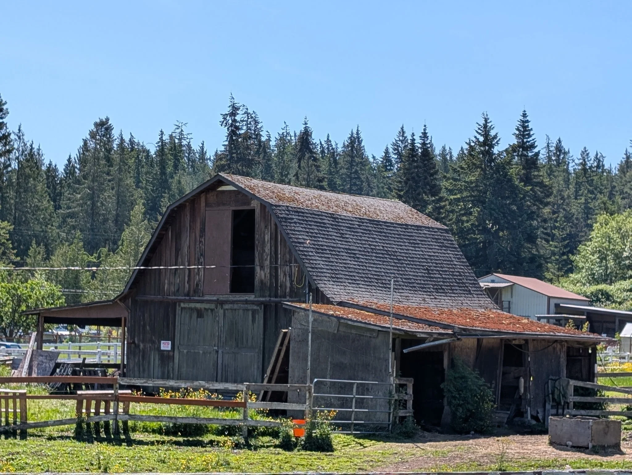 A rustic wooden barn with a shingled roof in front of a forested hillside under a clear blue sky.