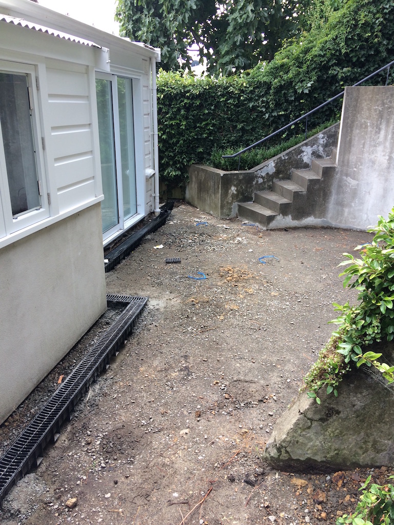 Pathway during.jpeg
