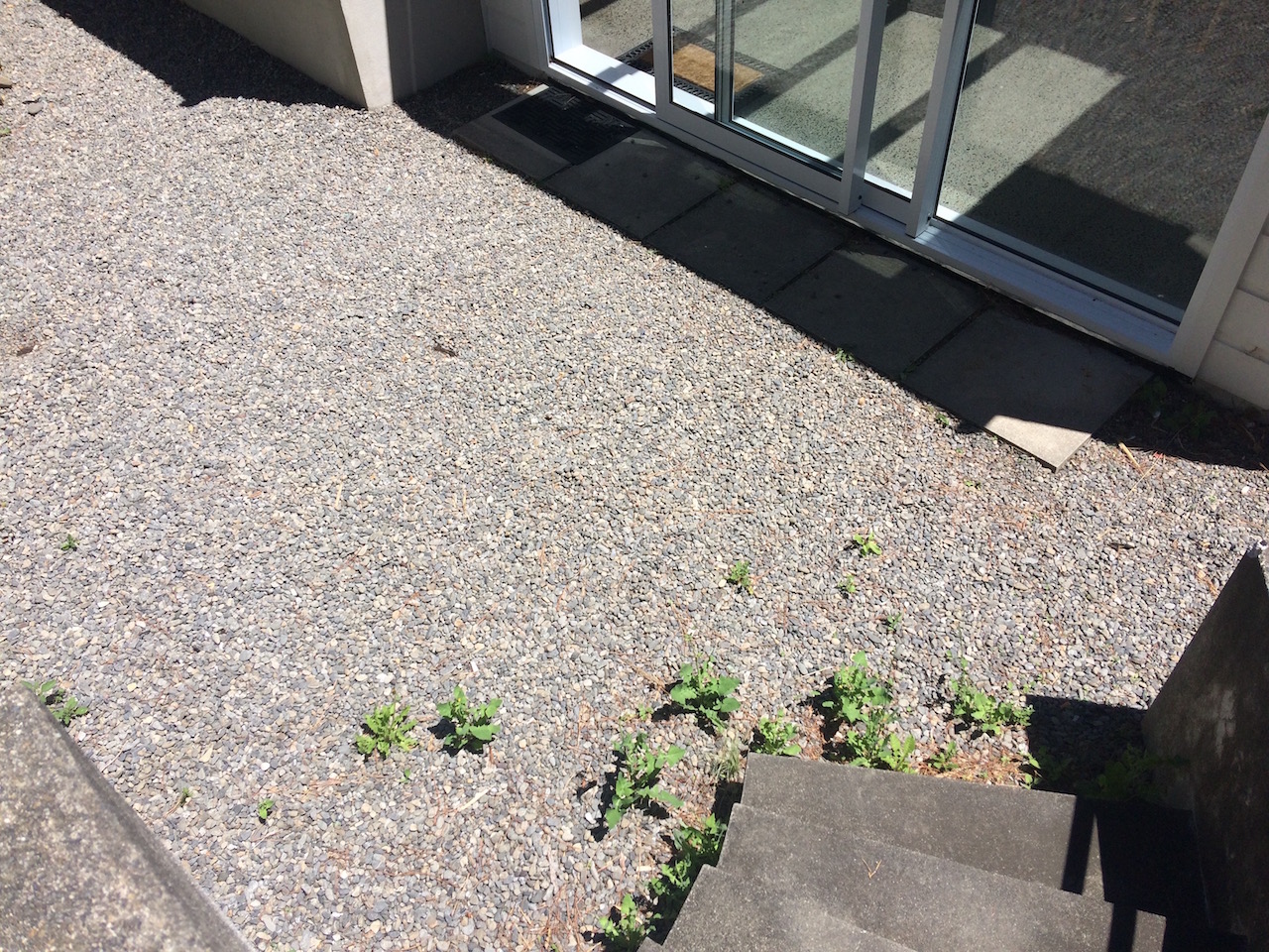 Pathway before.jpeg