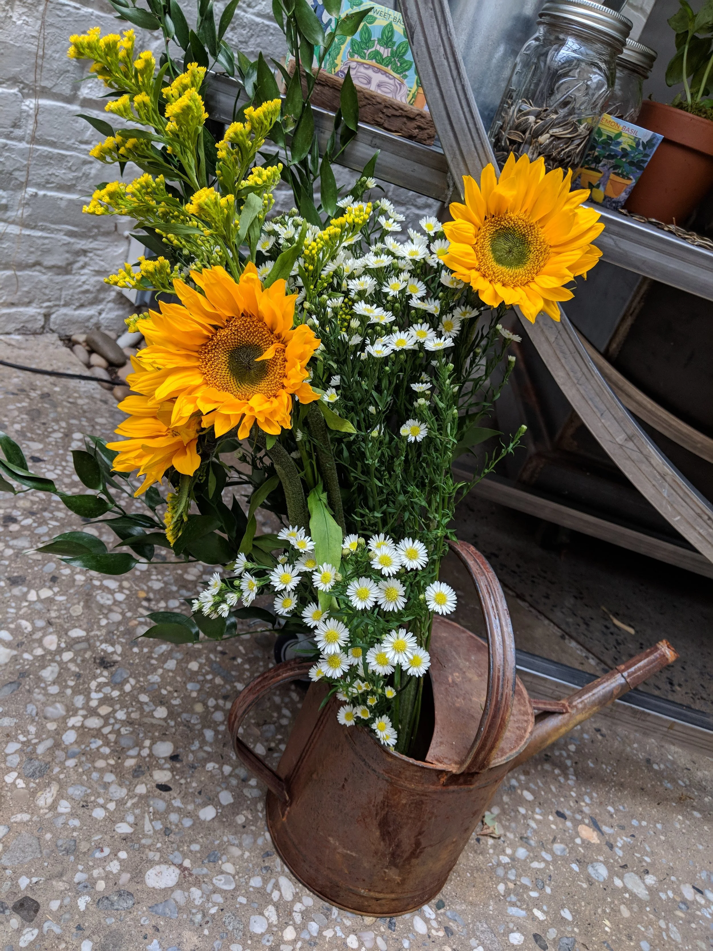 IMG_20180419_170915.jpg