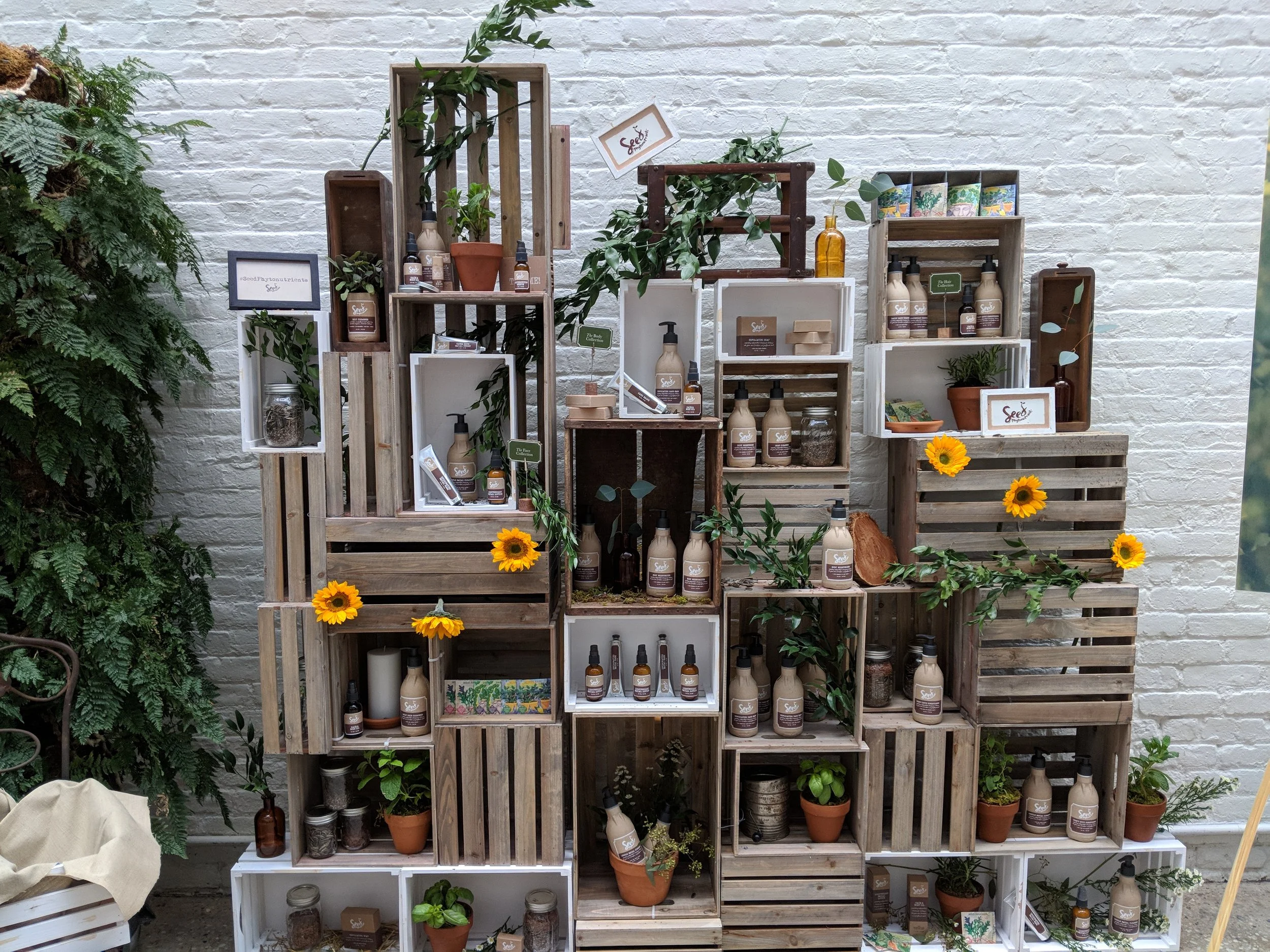 IMG_20180419_171025.jpg