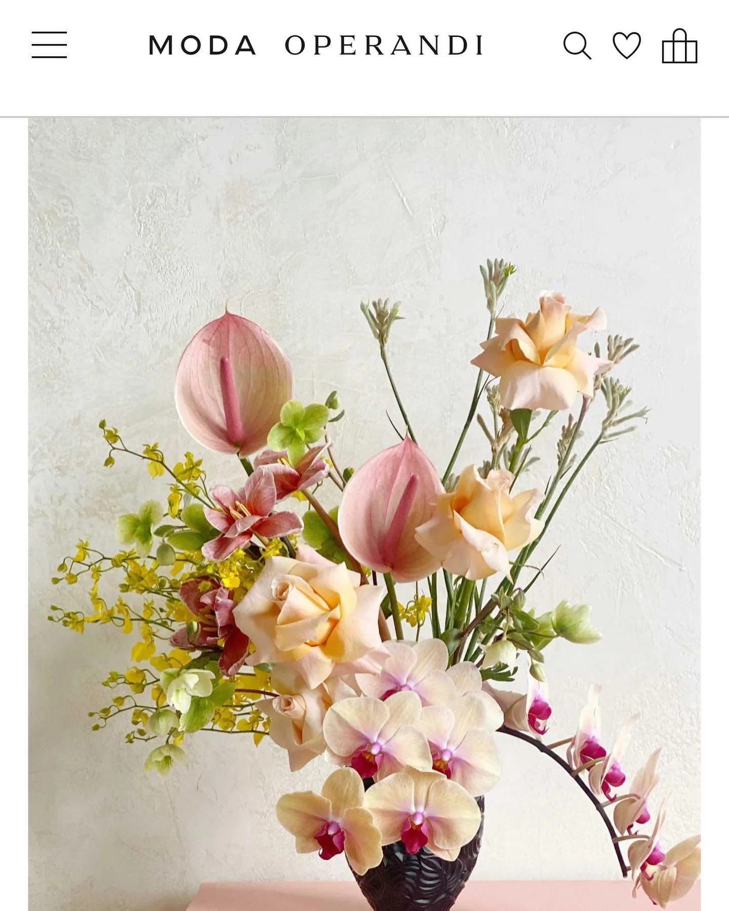 Moda Operandi Mother's Day Collab! 