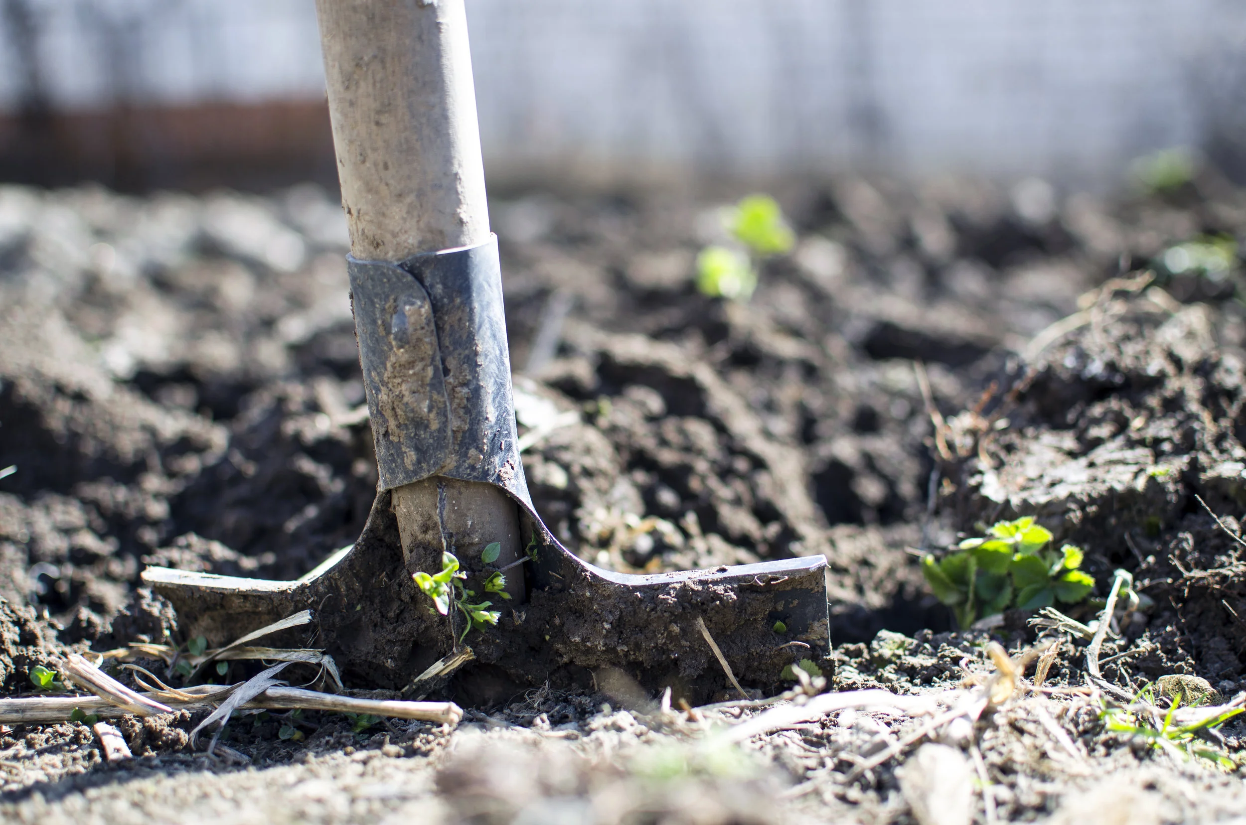 Dig garden