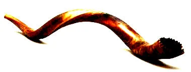 shofar HORN.jpg