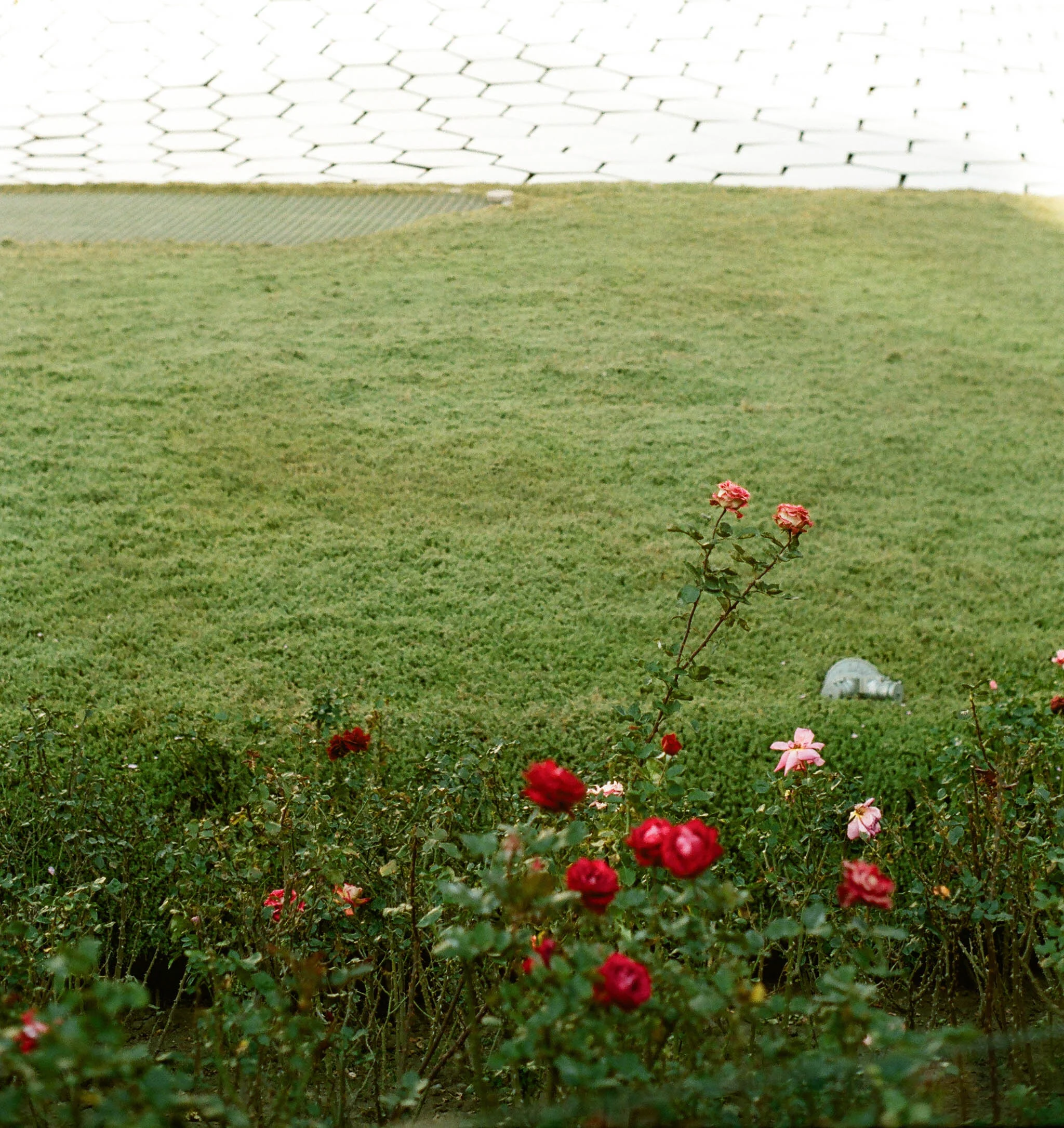 22020031.jpg