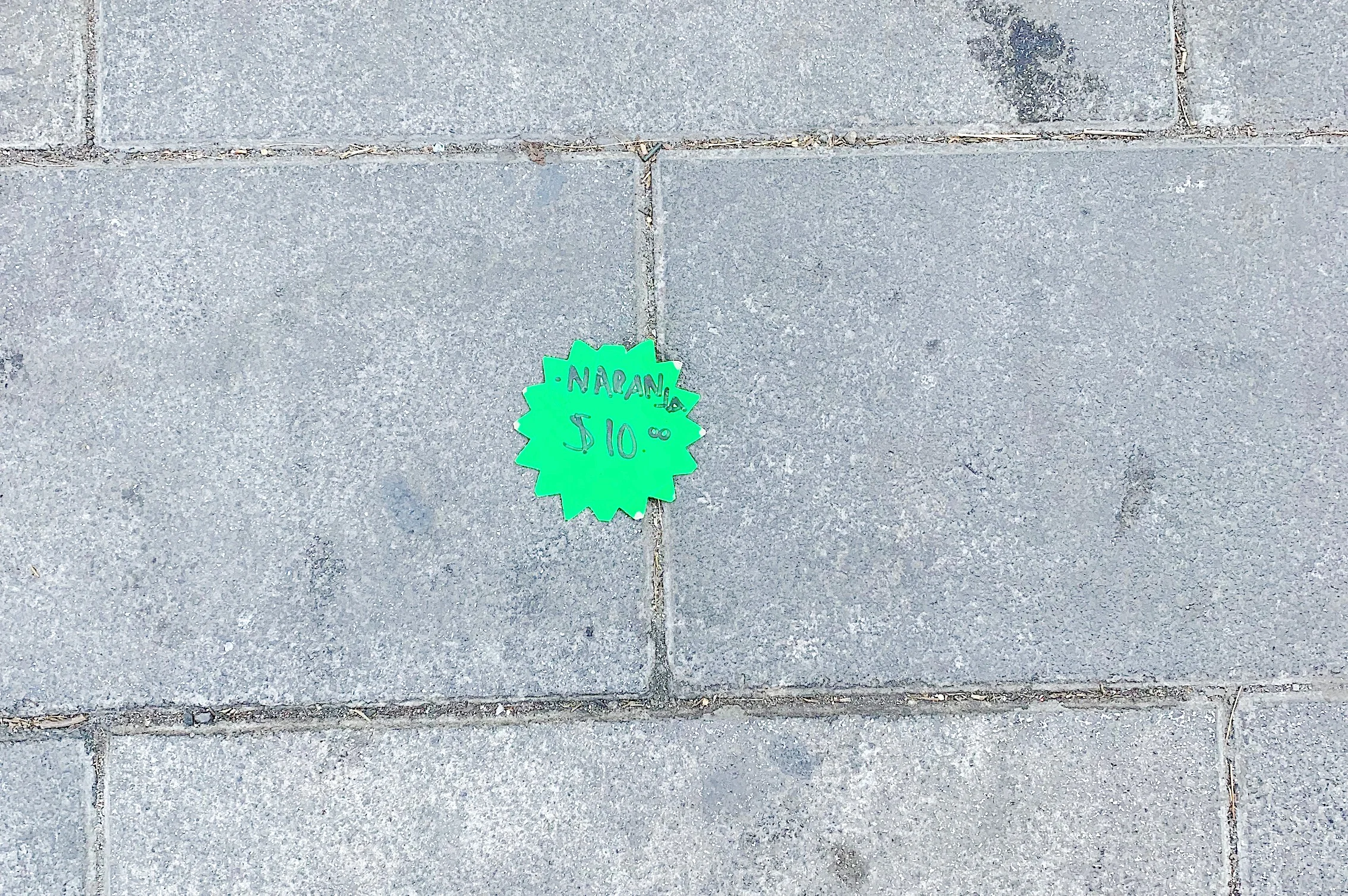 JPEG image-9FA1D1092E58-3.jpeg