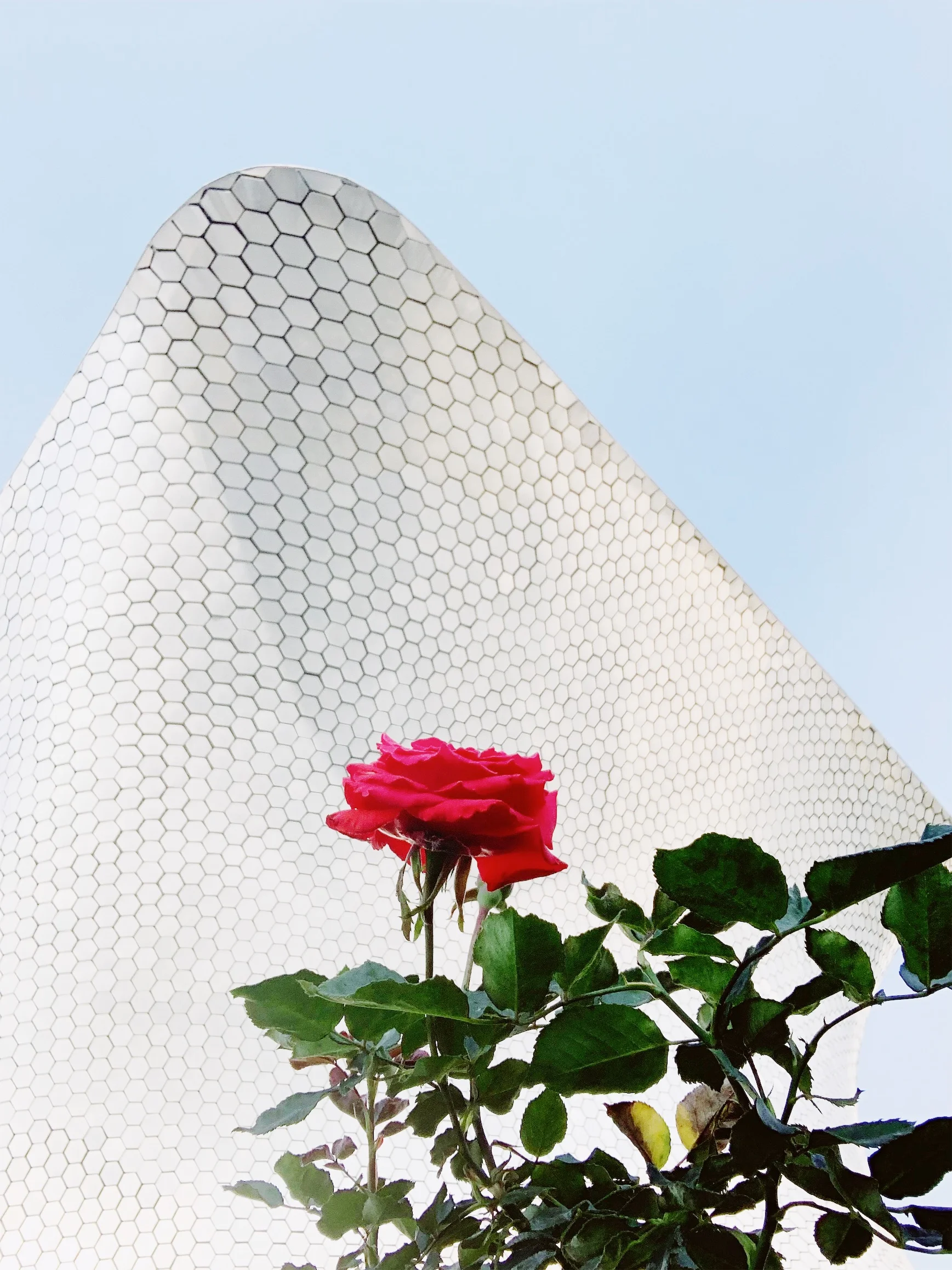 JPEG image-9FA1D1092E58-2.jpeg