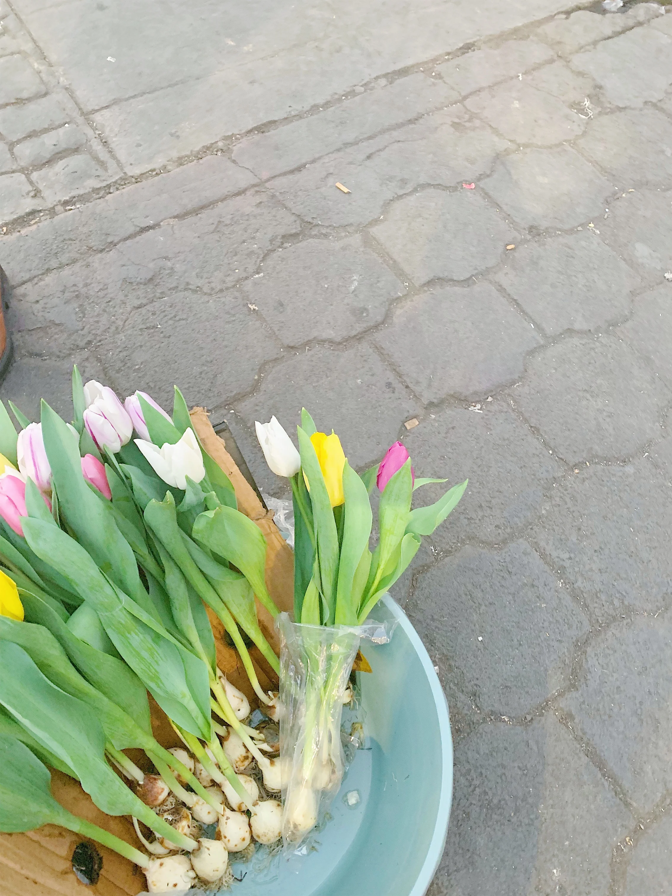 JPEG image-9FA1D1092E58-5.jpeg