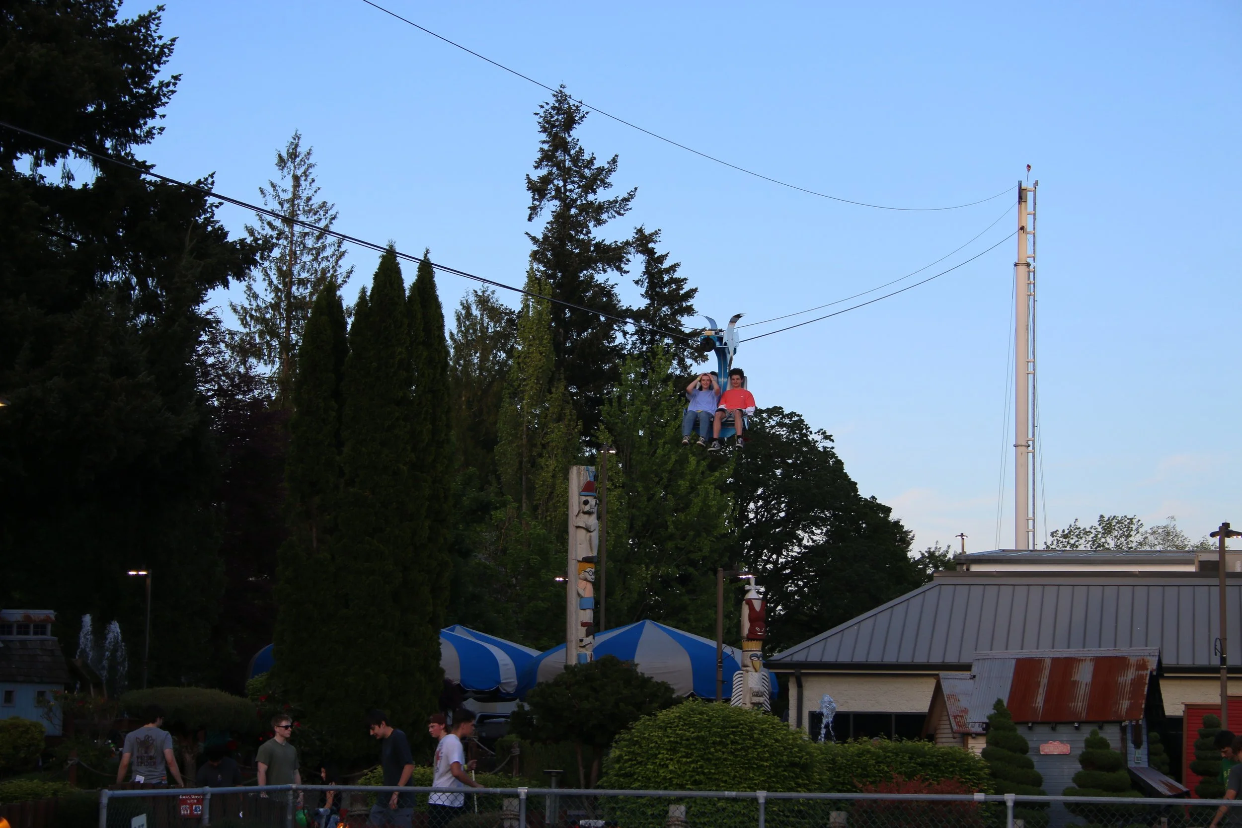 IMG_9932.jpg