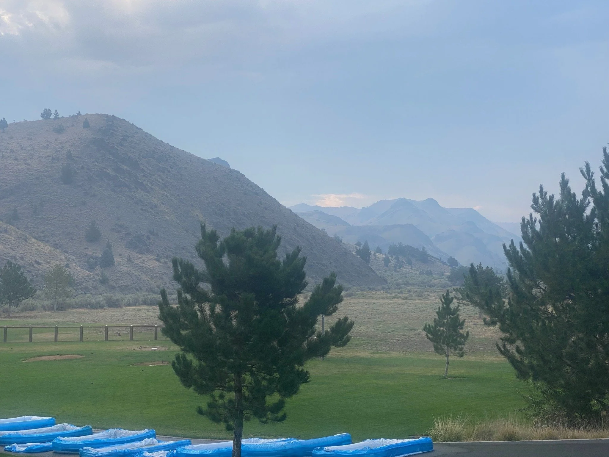 IMG_4352.jpeg