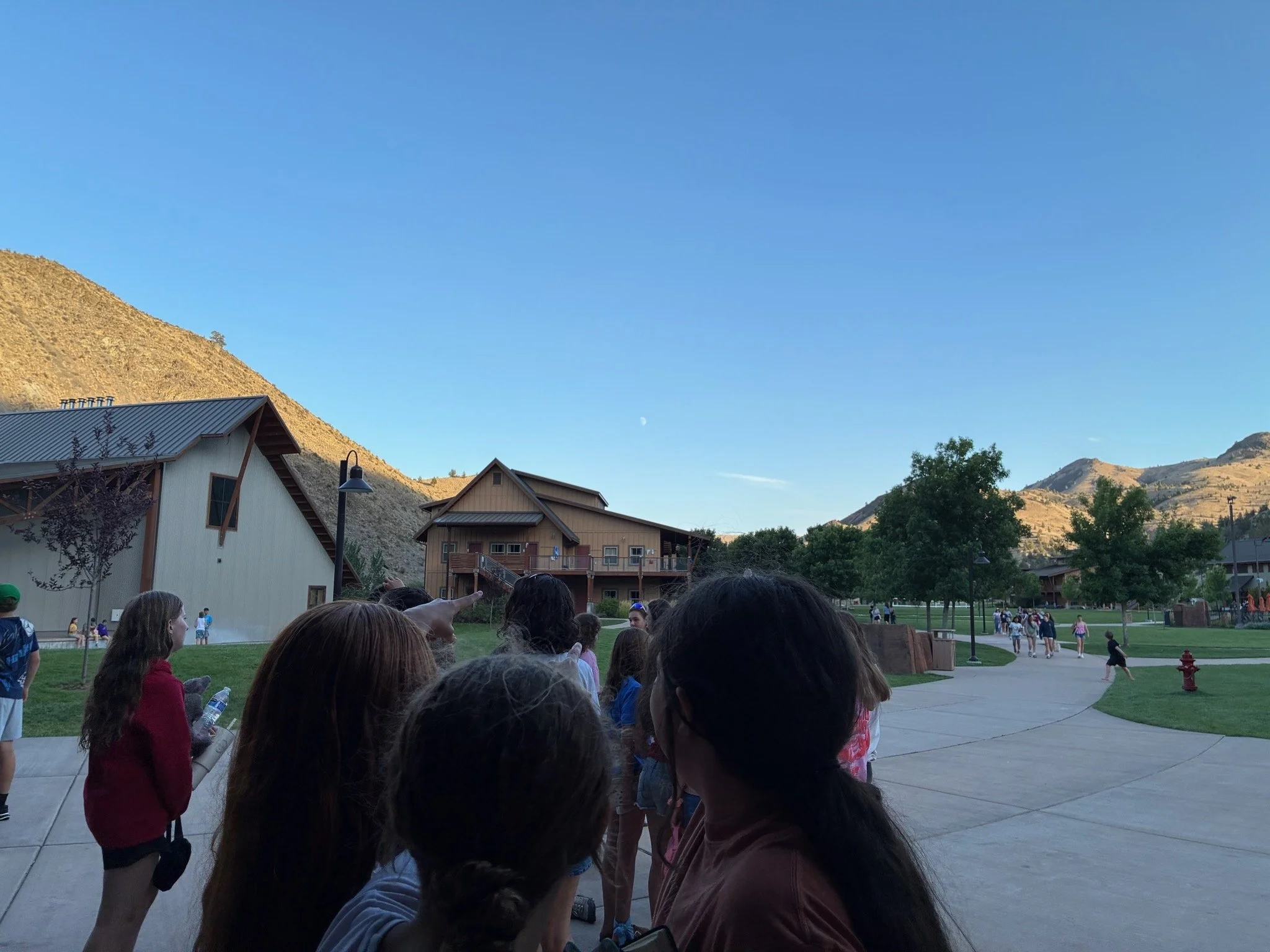 IMG_8901.jpeg
