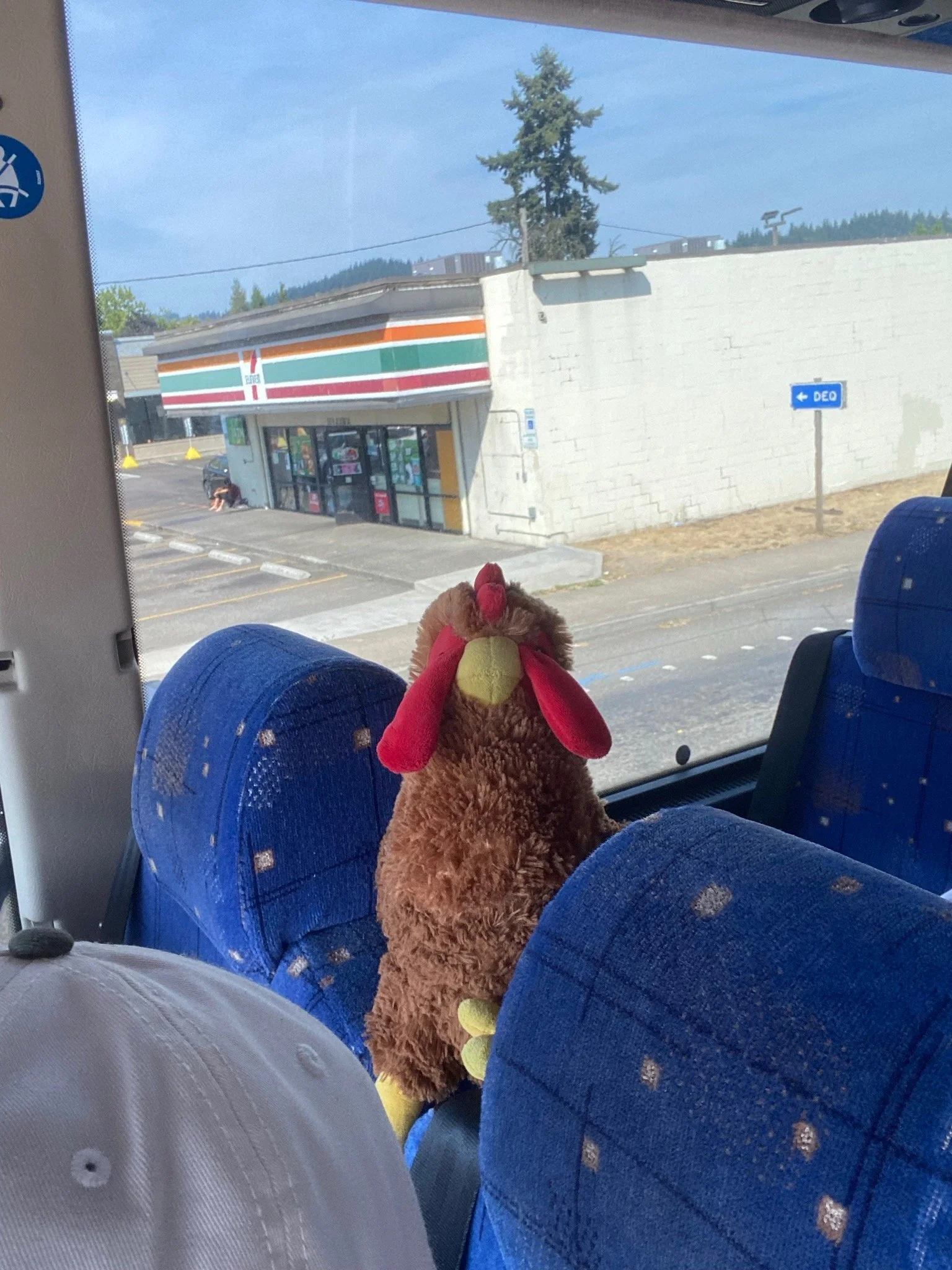 IMG_3462.jpeg