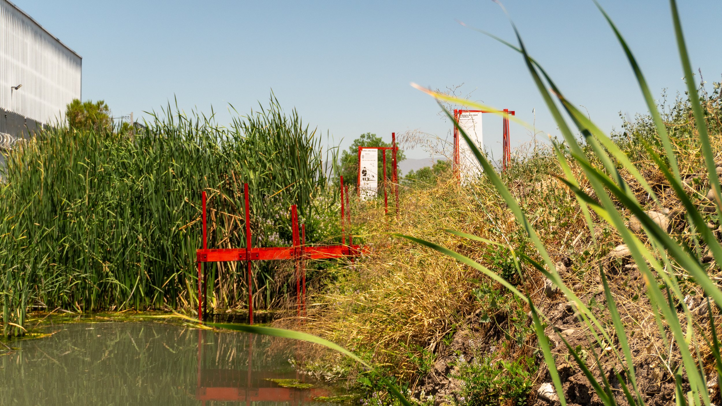 Canales Sanos Sin vertederos