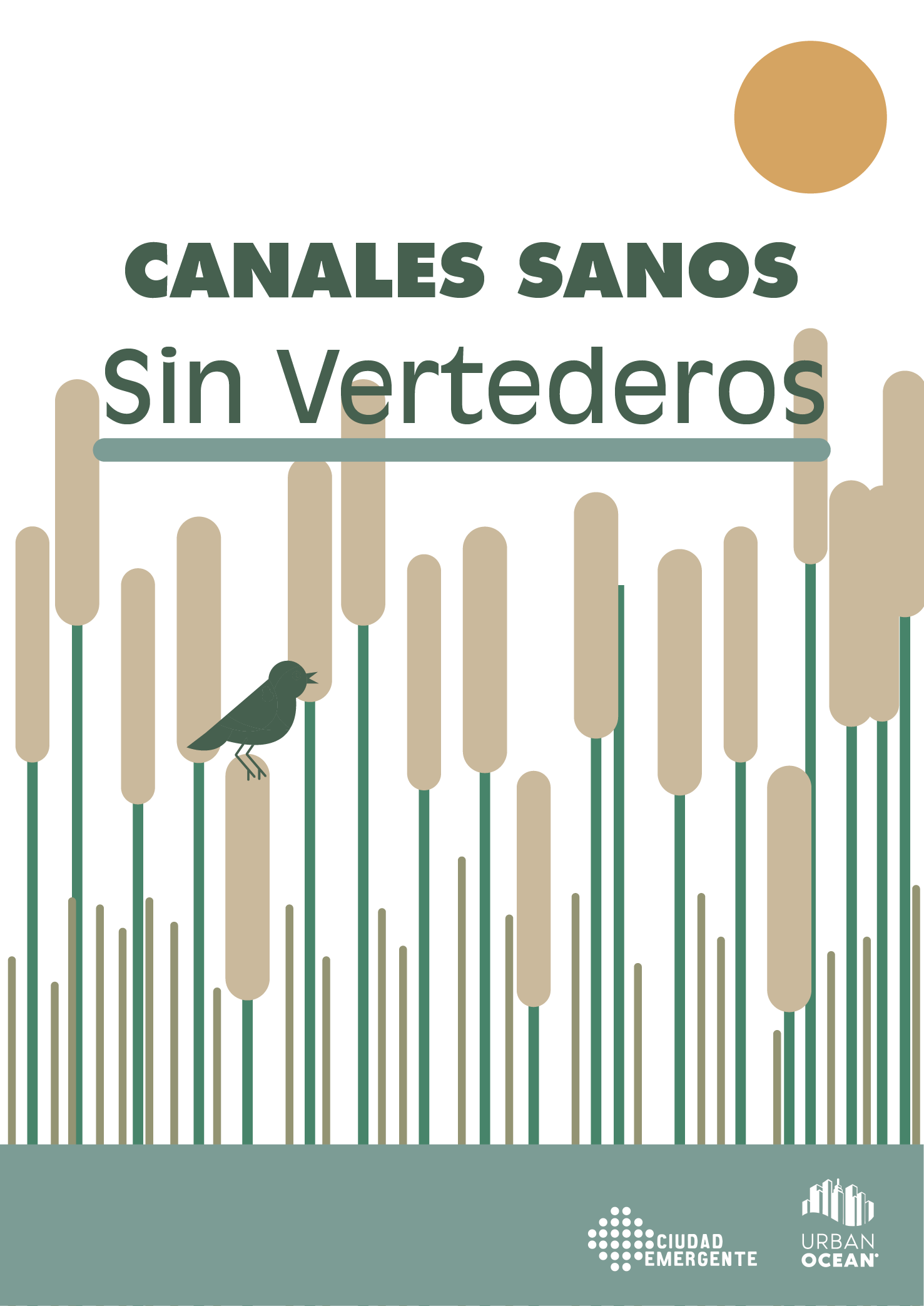 Reporte Canales Sanos Sin Vertederos