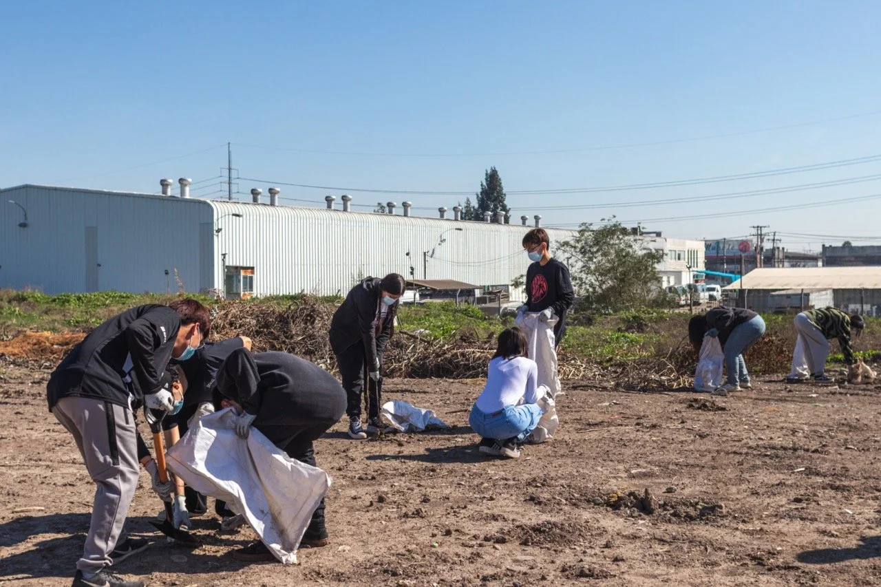 LIMPIEZAS PARTICIPATIVAS
