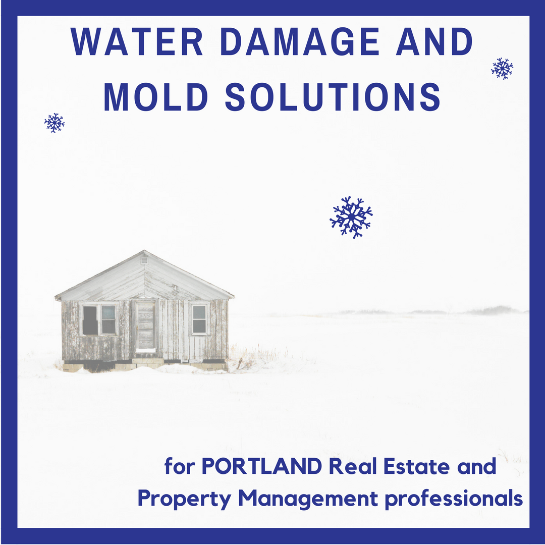 portland realtor web.png