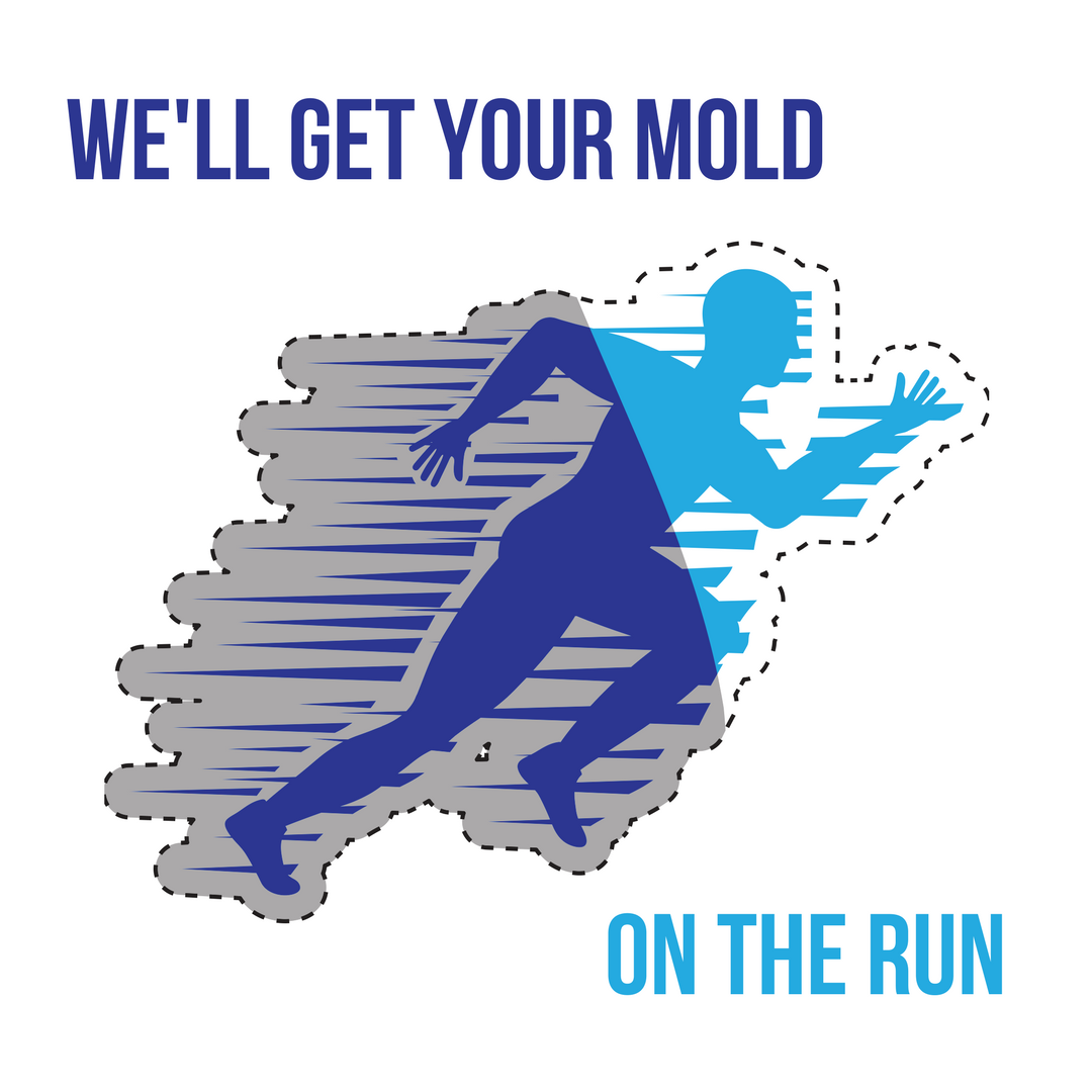 mold run web.png