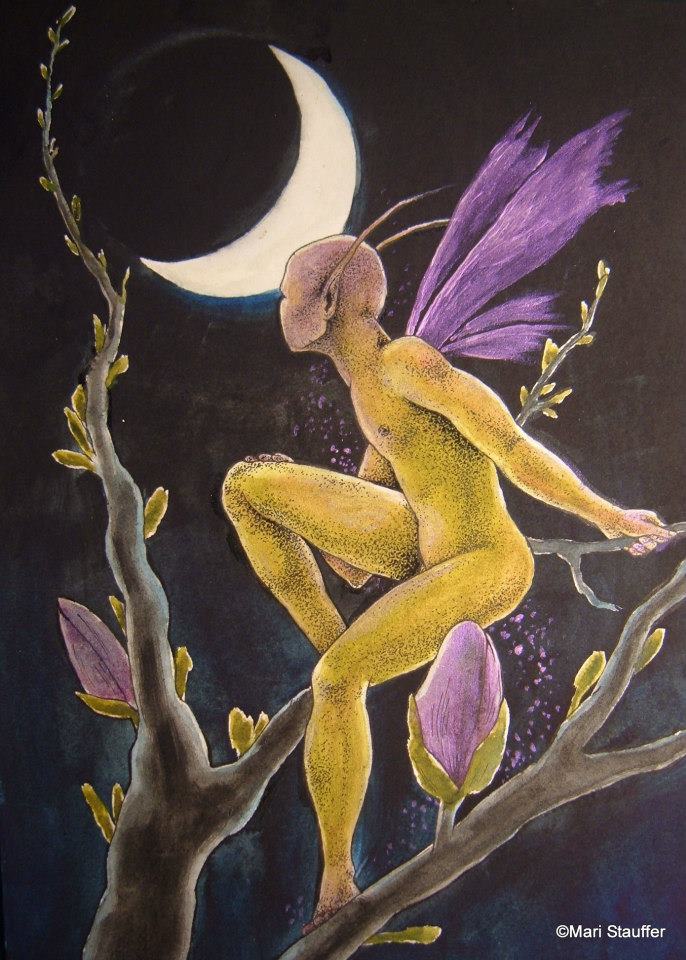 Tulip Fairy