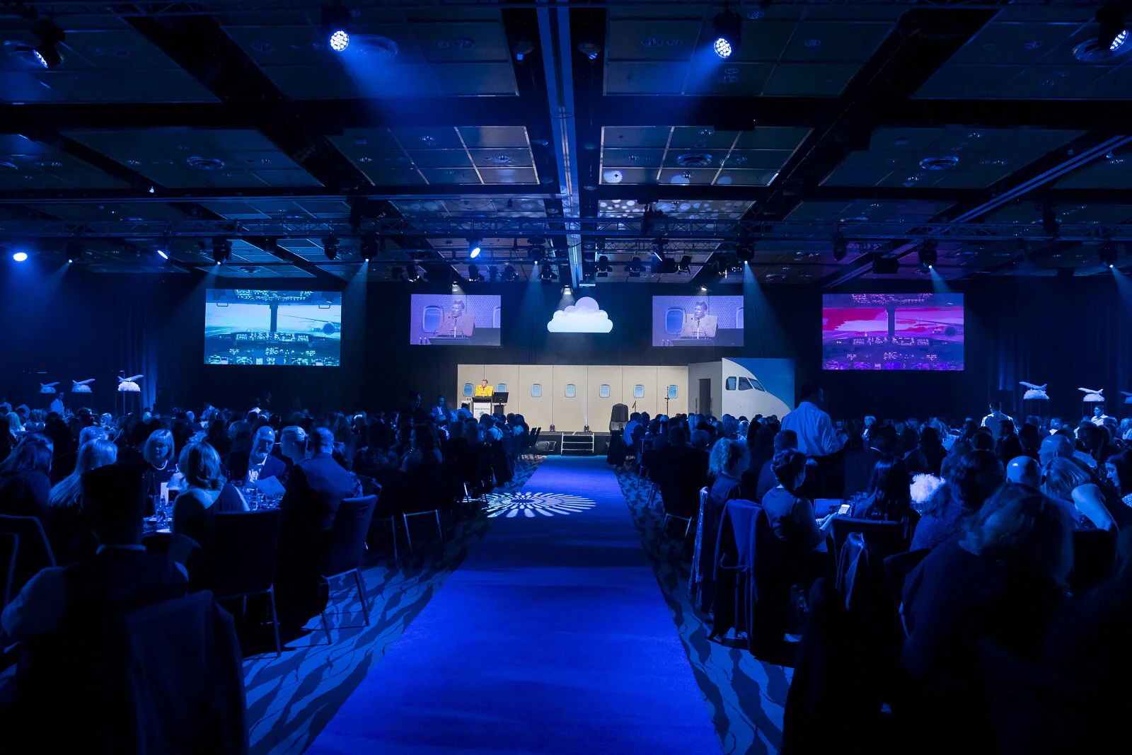 IMAGE: Cactus Photography