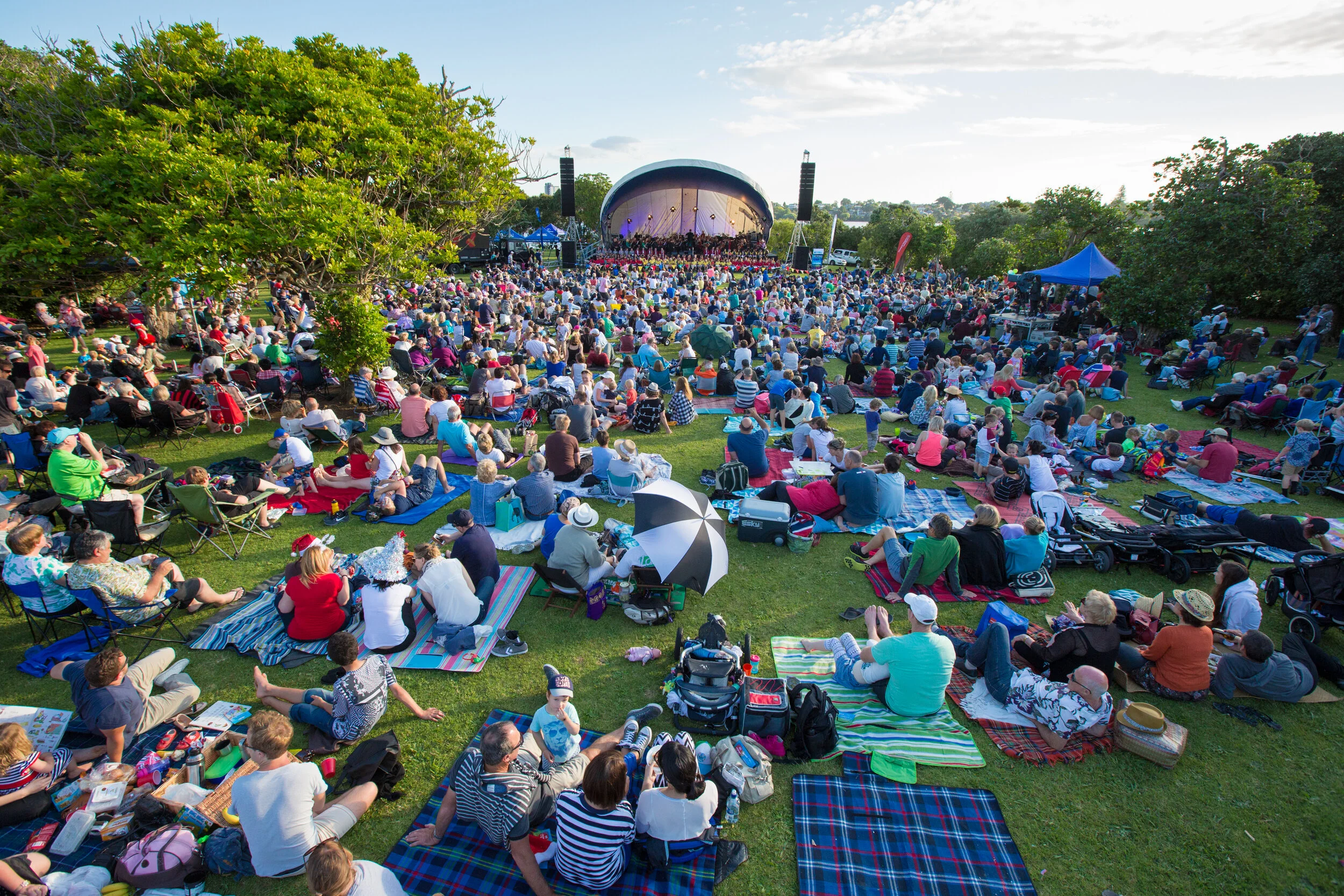 IMAGE: Cactus Photography