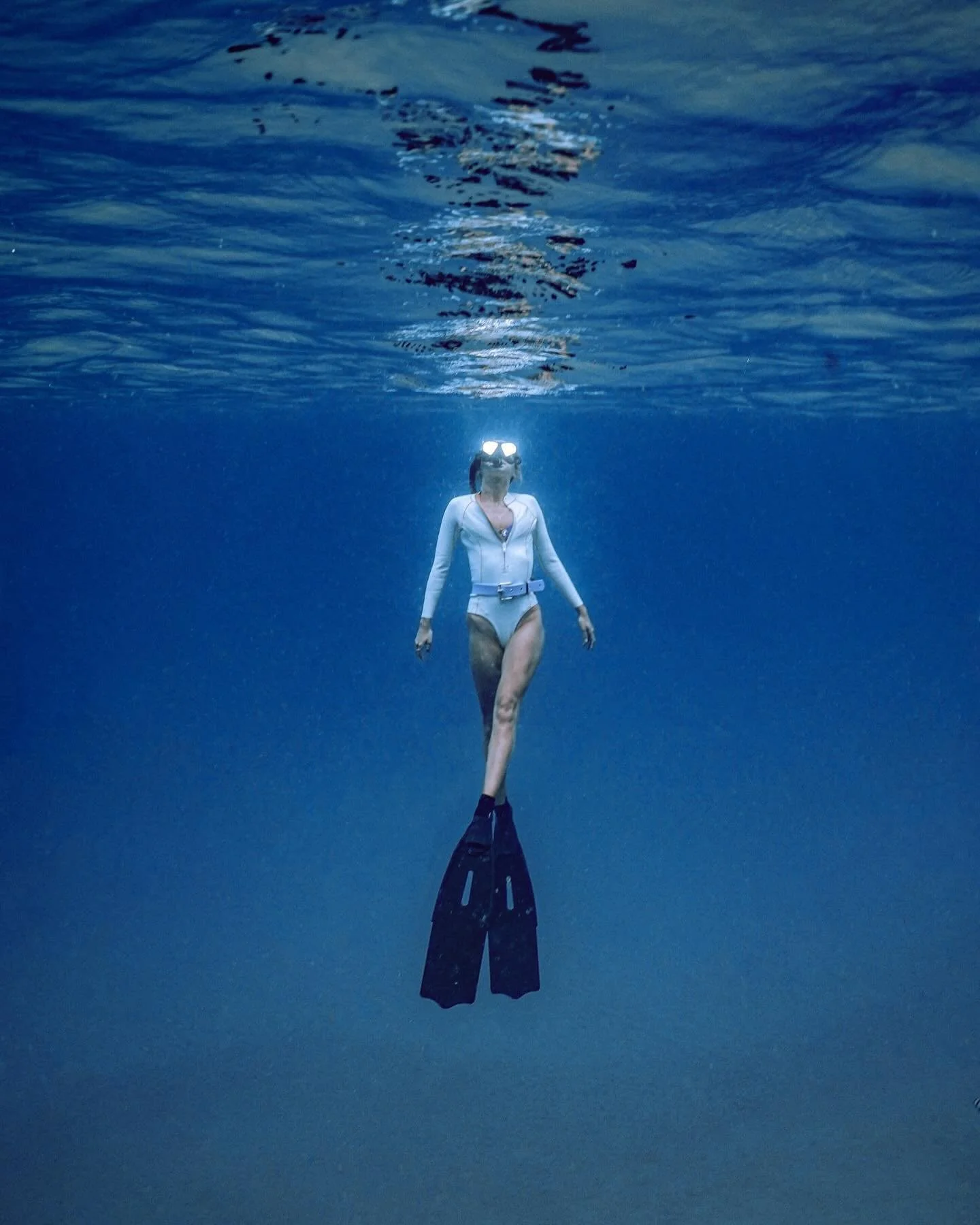 [image] - 2461565.jpeg