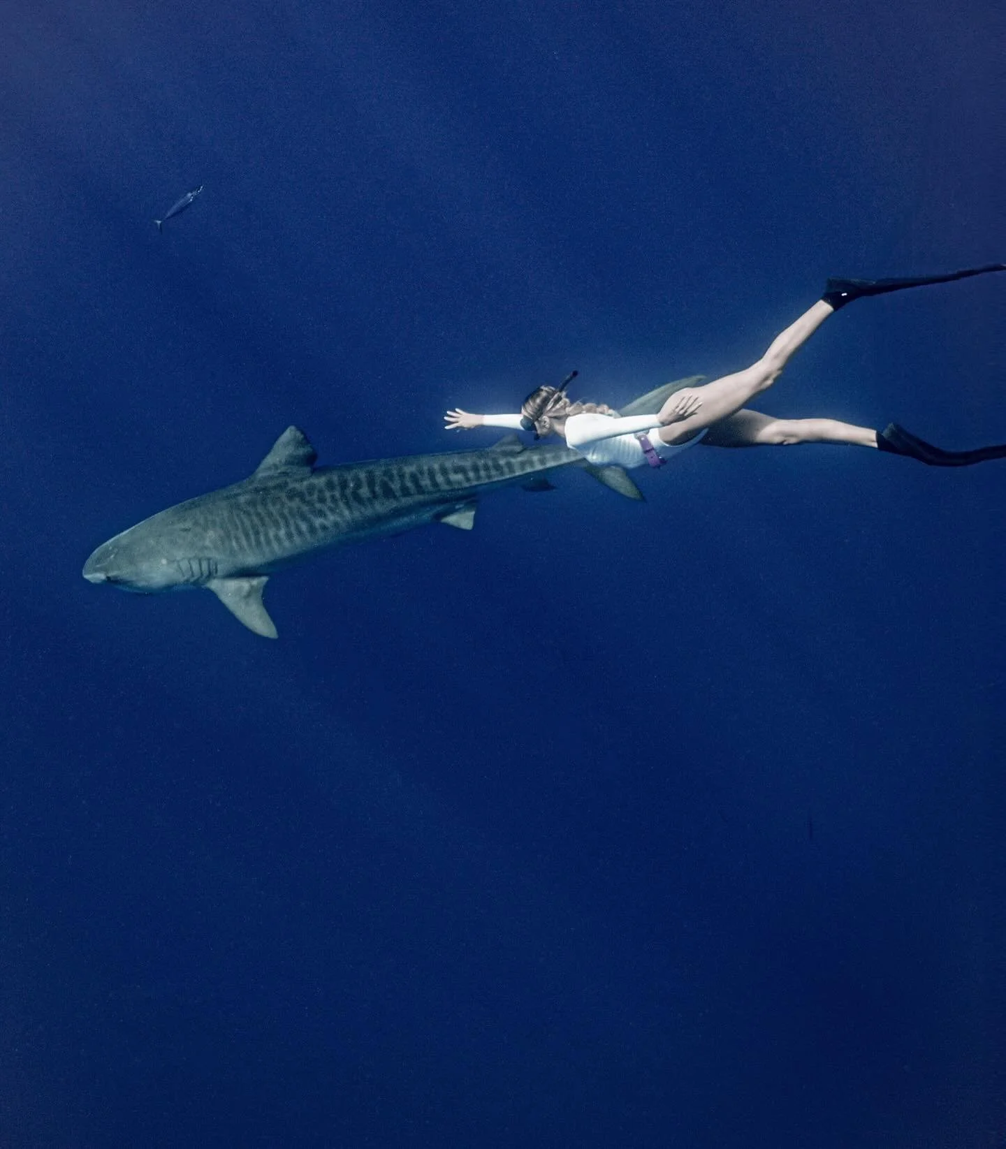 [image] - 2092050.jpeg