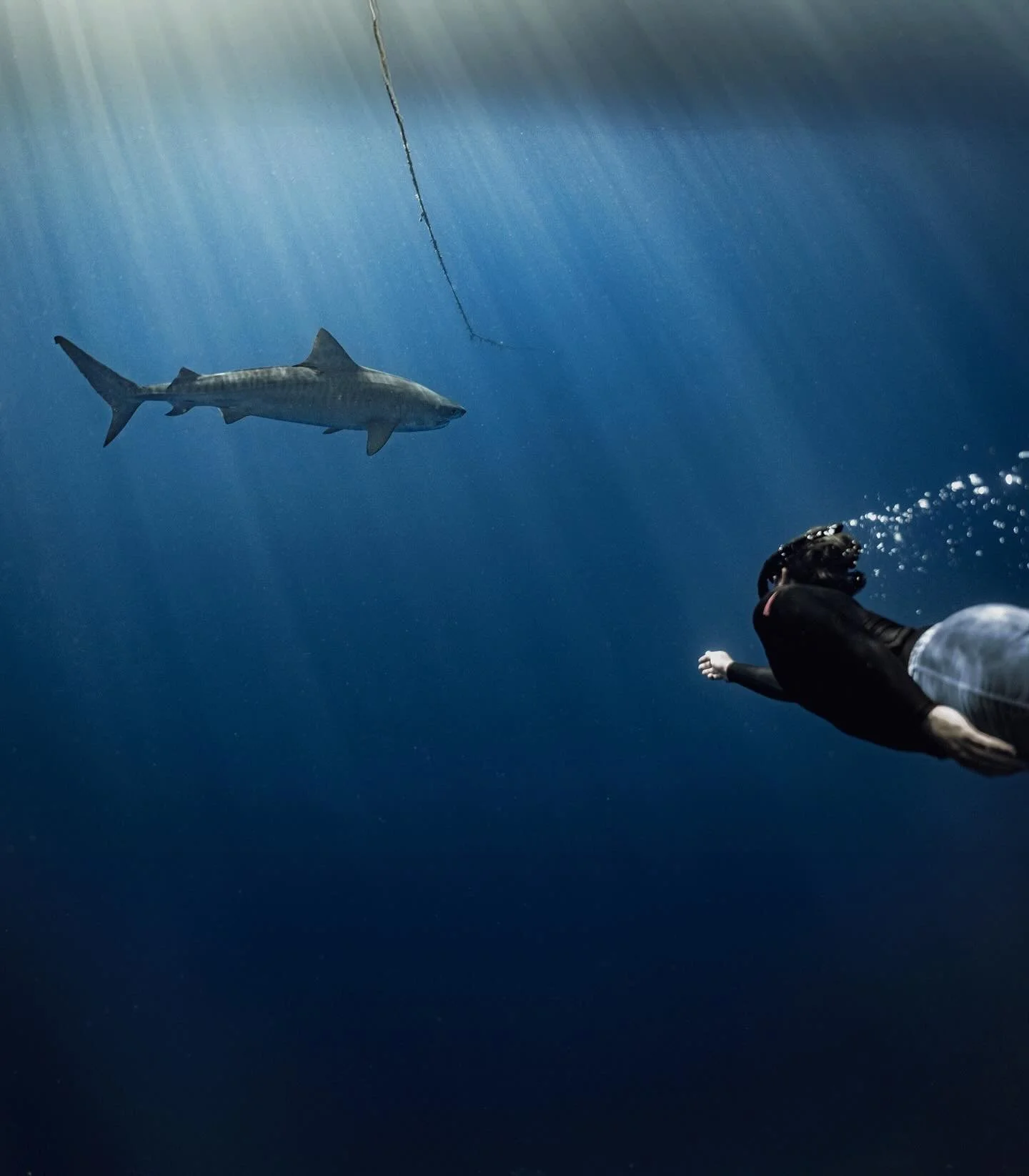 [image] - 2250724.jpeg