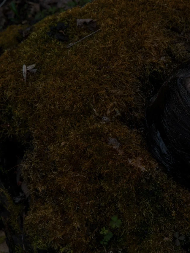 YOS_20170424_ZolaJesus_0003_Web.854d9ade copy.jpg