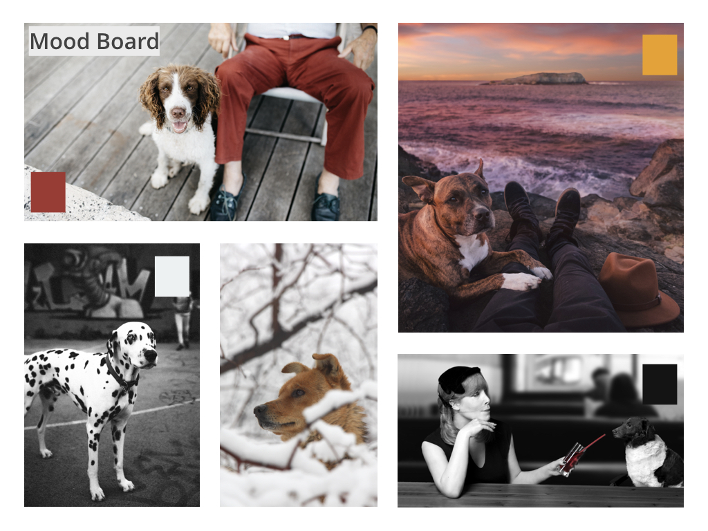 mood board.jpeg