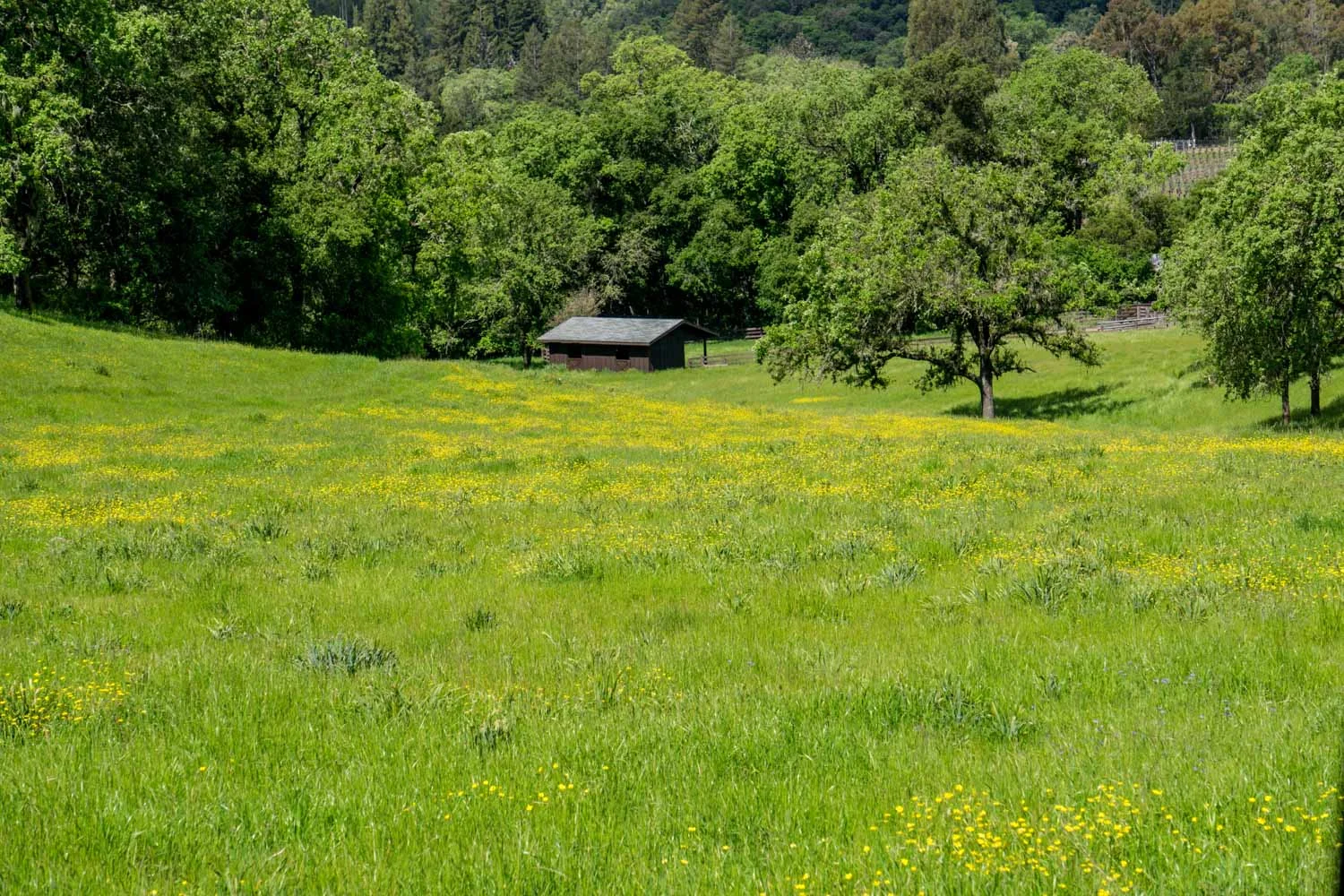 bates-ranch-gallery-4.jpg