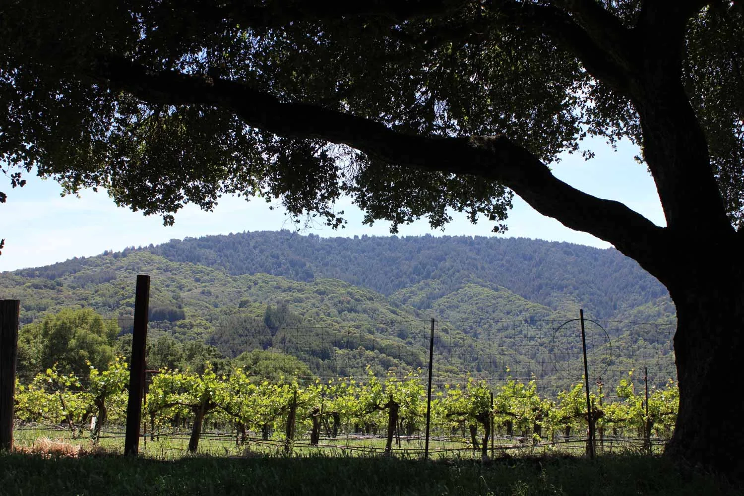 bates-ranch-gallery-6.jpg