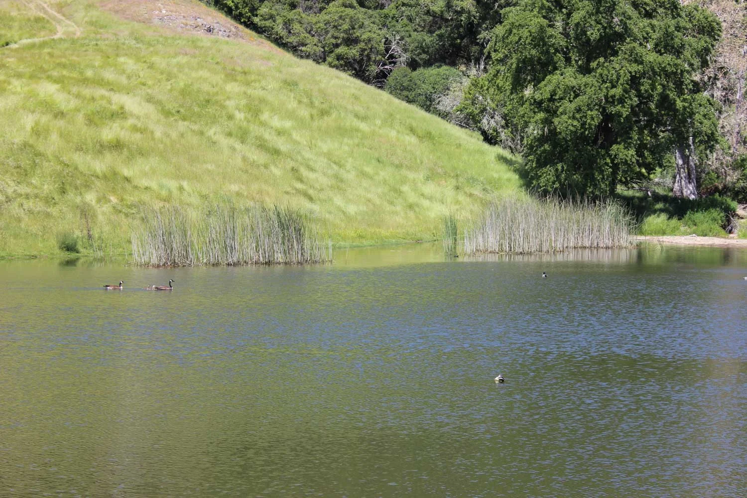bates-ranch-gallery-16.jpg