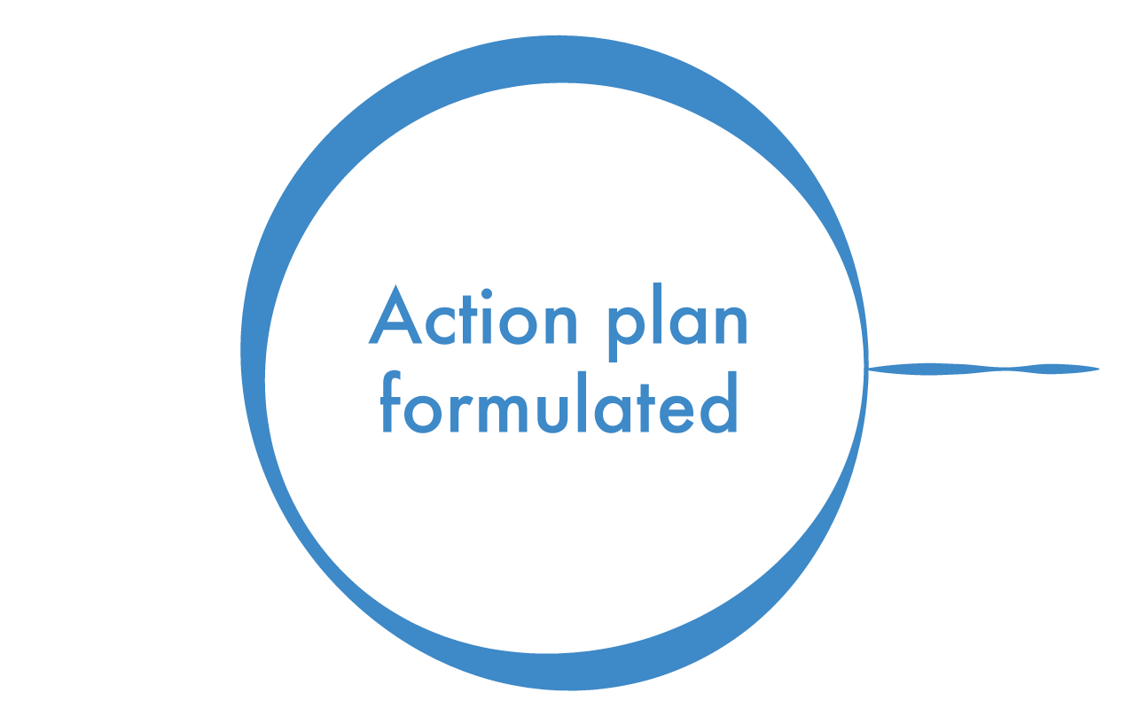 action plan circle-03.png
