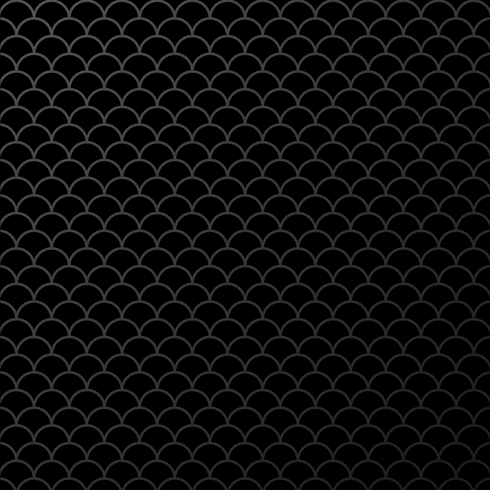 LLN008_FRONT.png