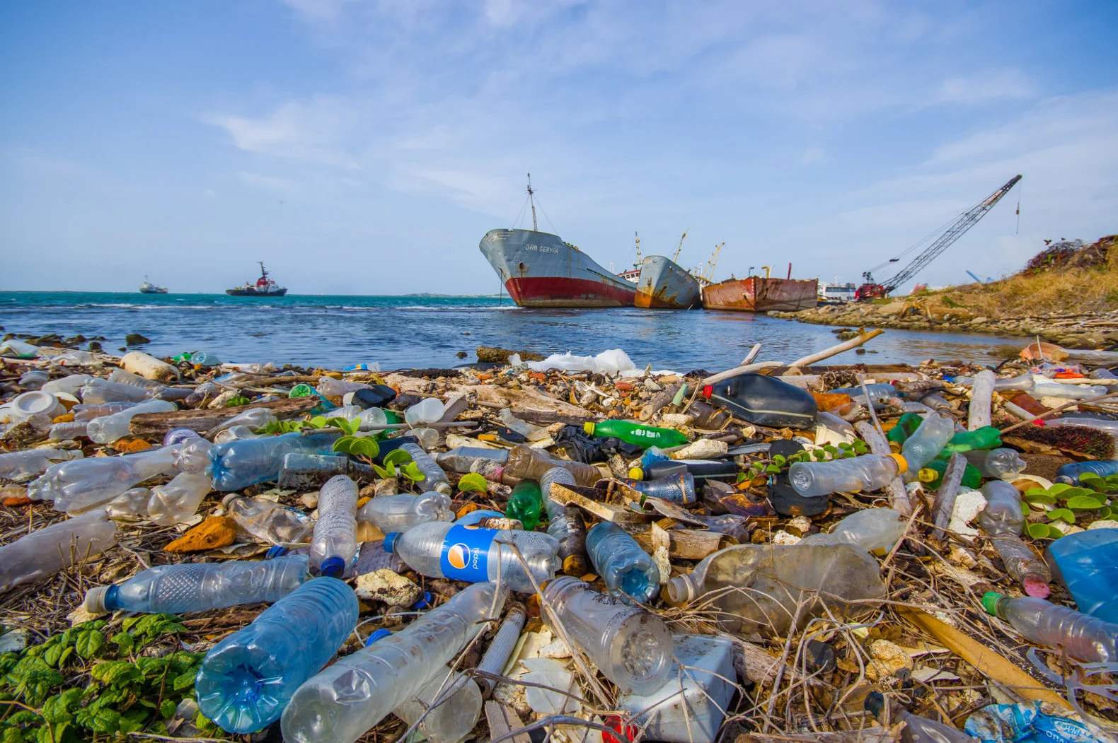 A Sea of Plastic