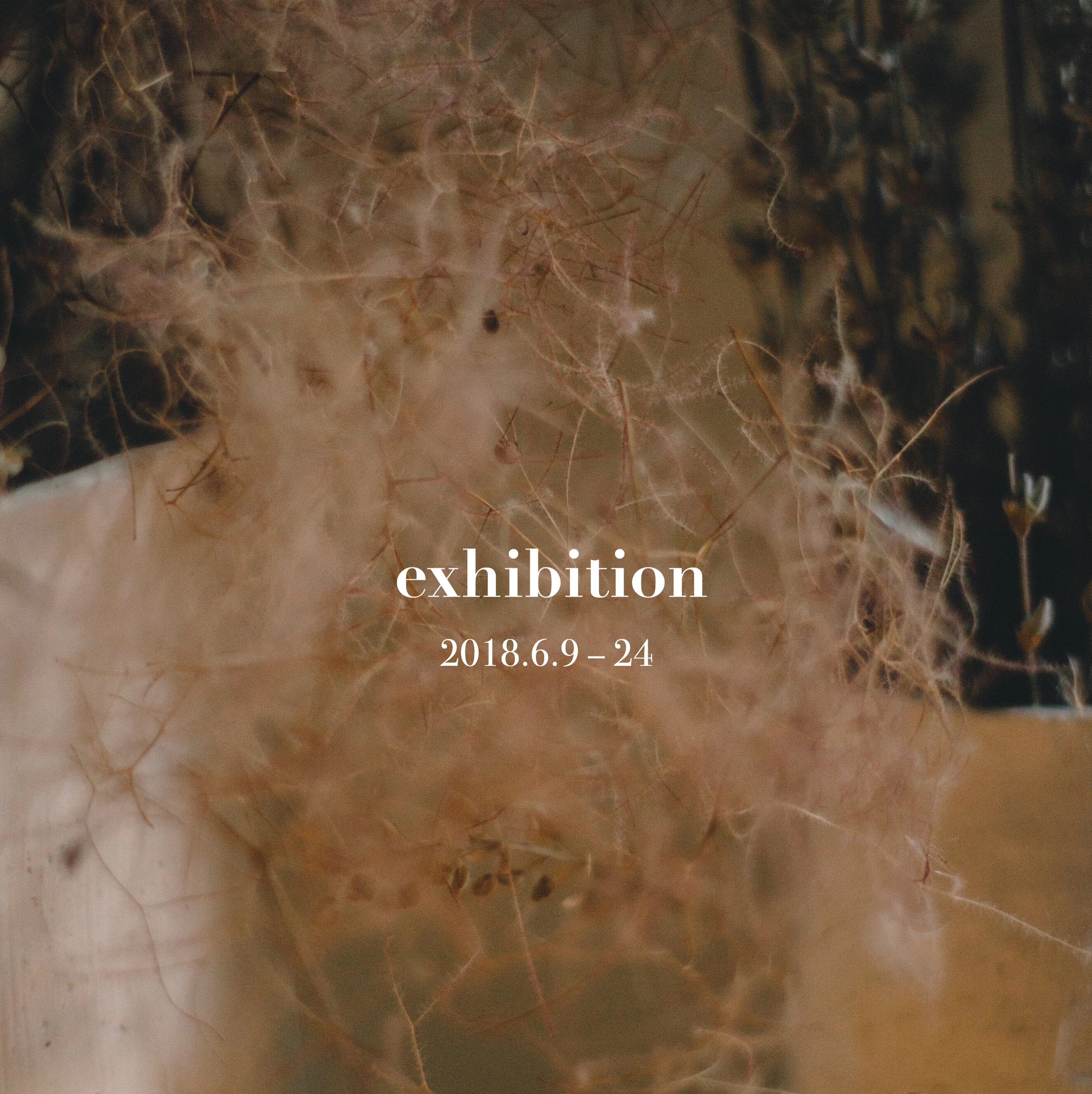 二人展「Hertz」at FESTINA LENTE 神保町