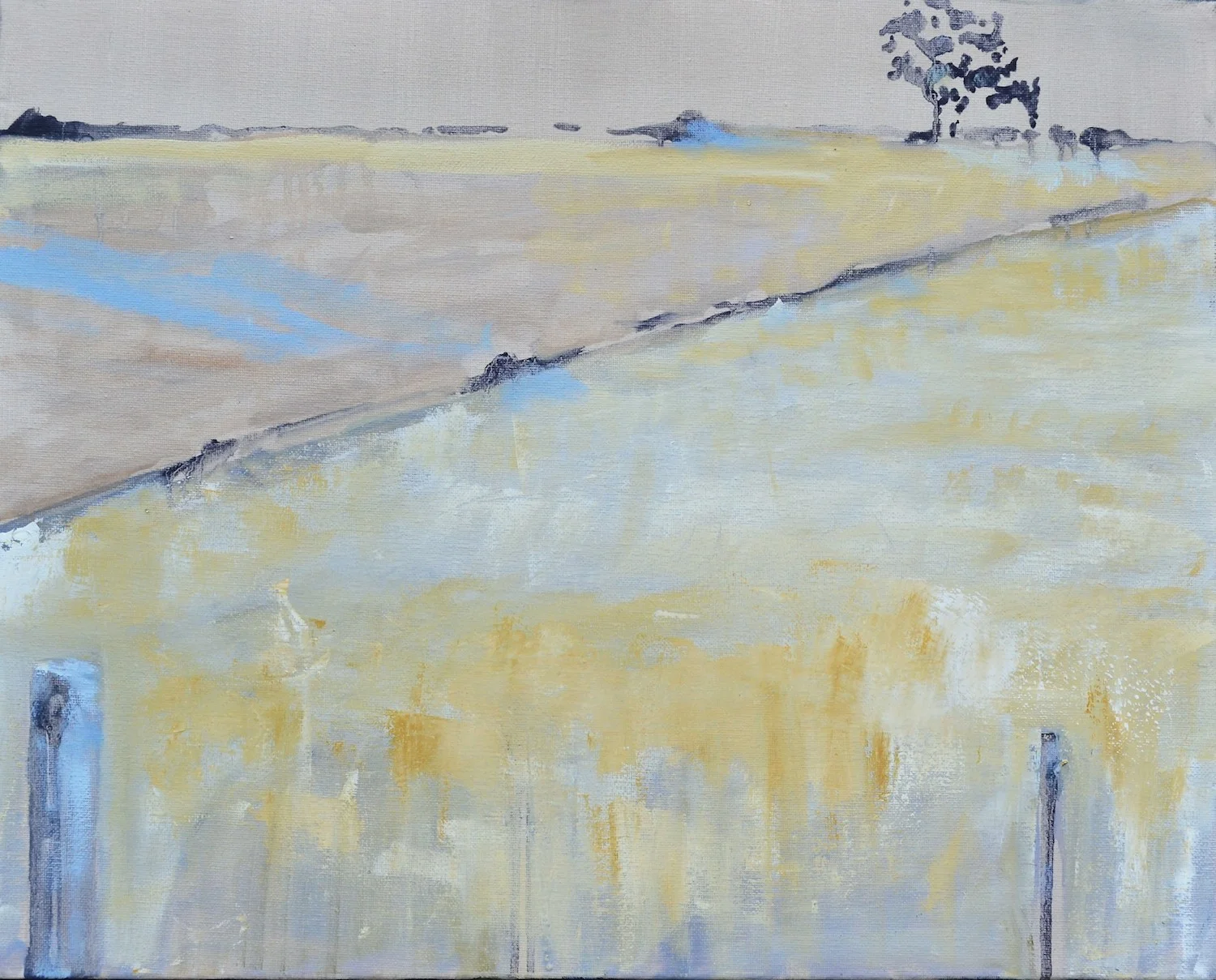 Fenceline Stonestreet Lane 2017 oil on canvas 50x40cm