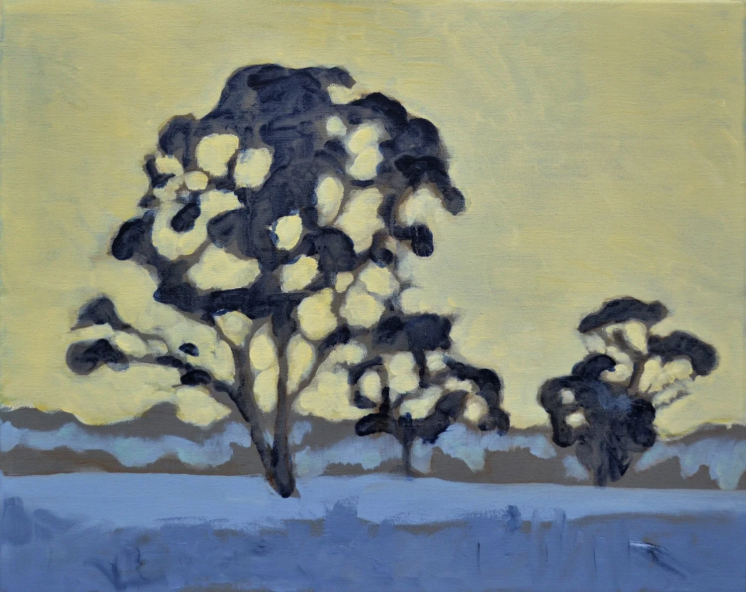 Eucalyptus Viminalis Stonestreet Lane 2017 50 x 40cm oil on canvas.JPG