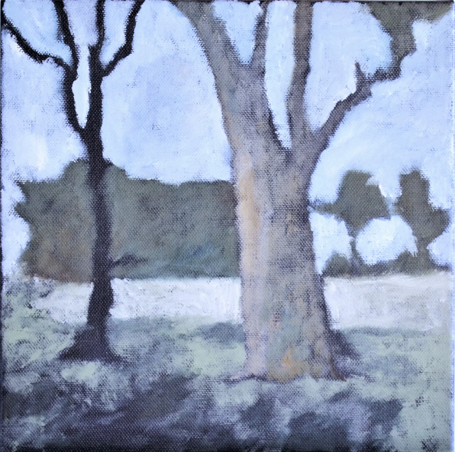 Stonestreet Trees 2015 oil on canvas 25x25cm