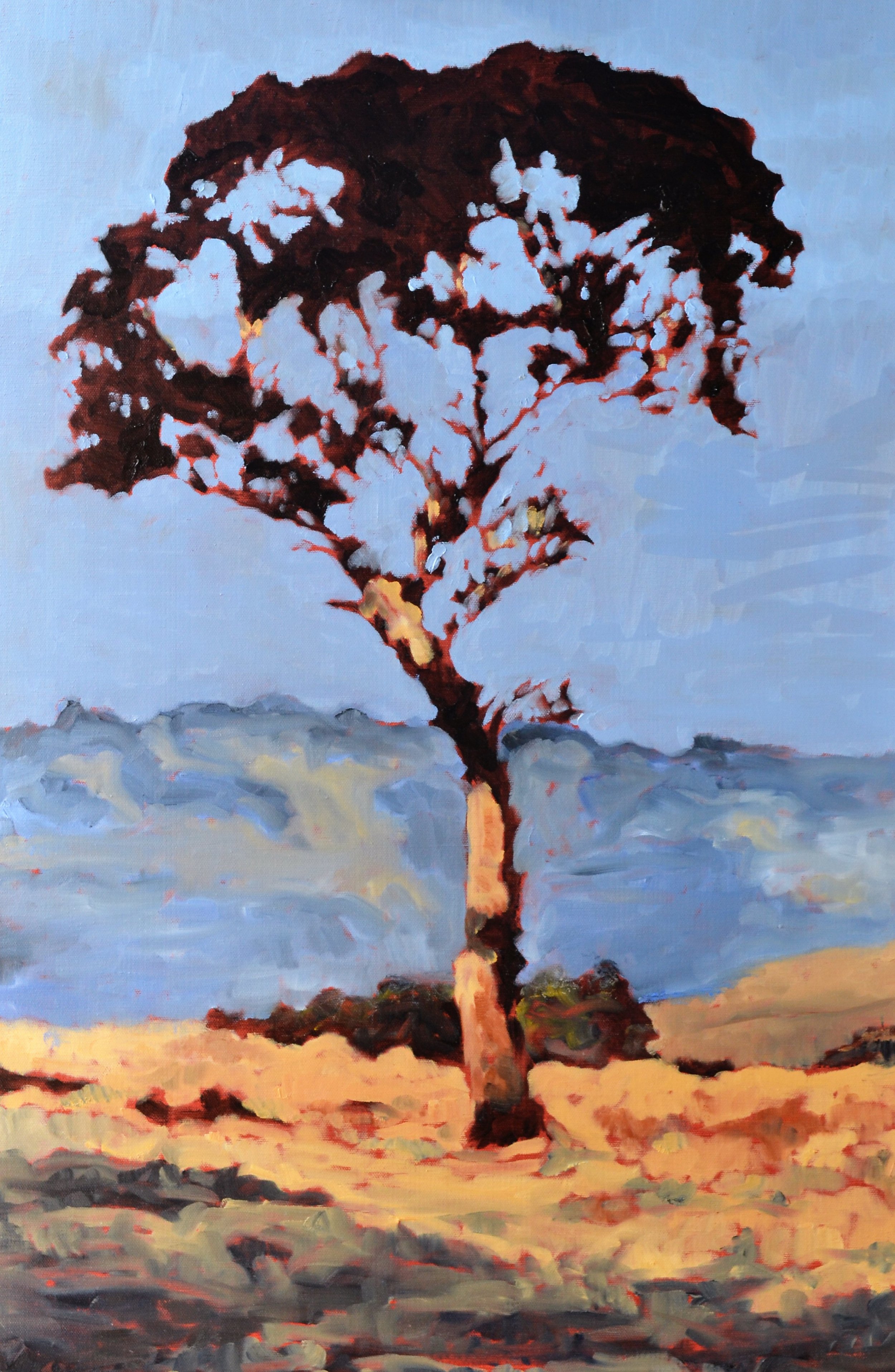Portrait of a Landscape 9 2018 oil on canvas 50x76cm 