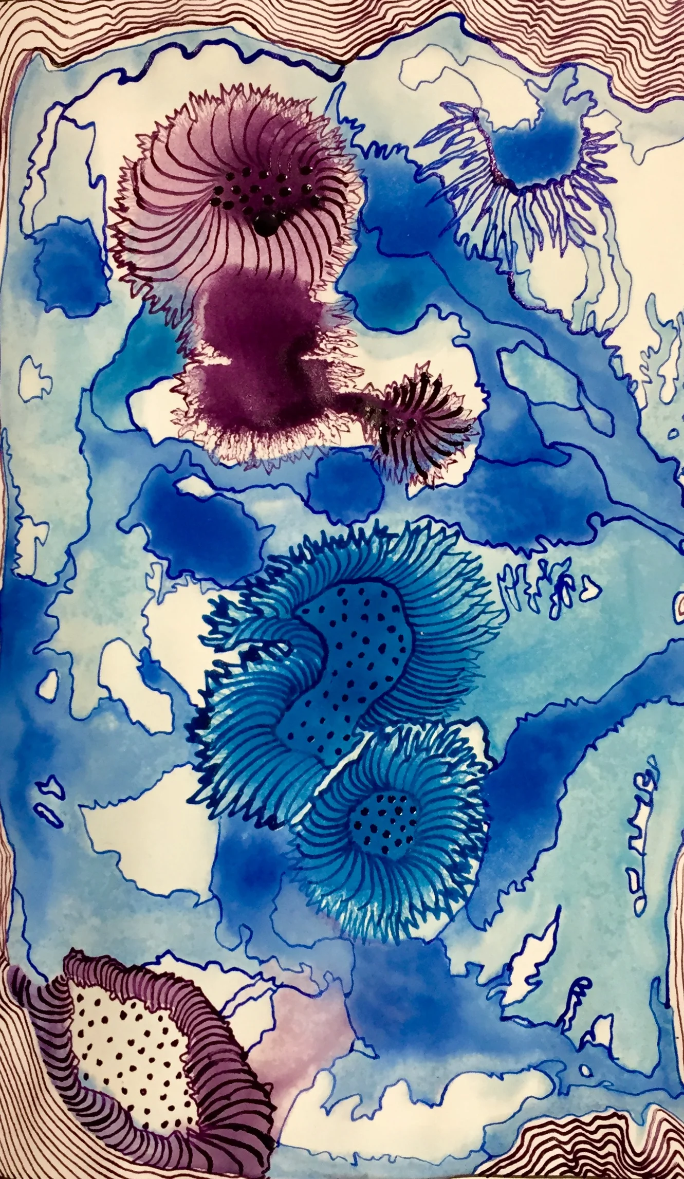 Microscopic critters in ice.jpg