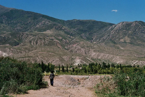 Jujui, 2012