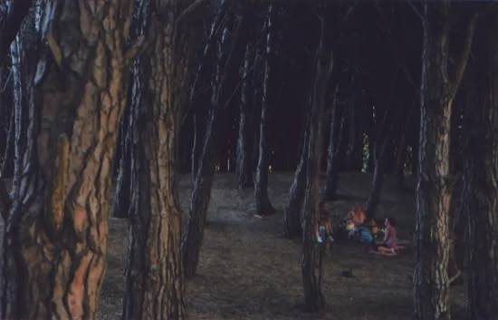 Energia, 2006